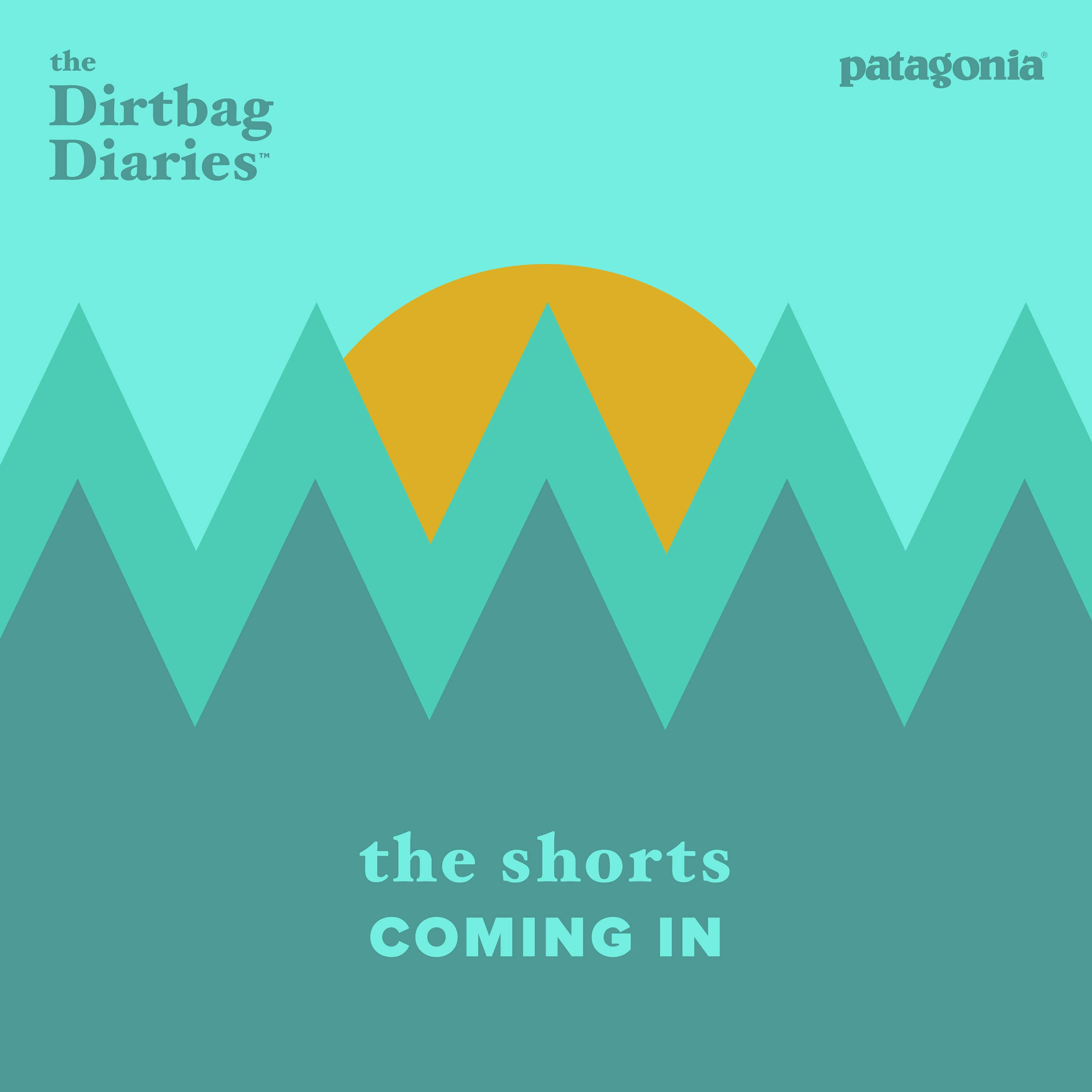 The Shorts -- Coming In