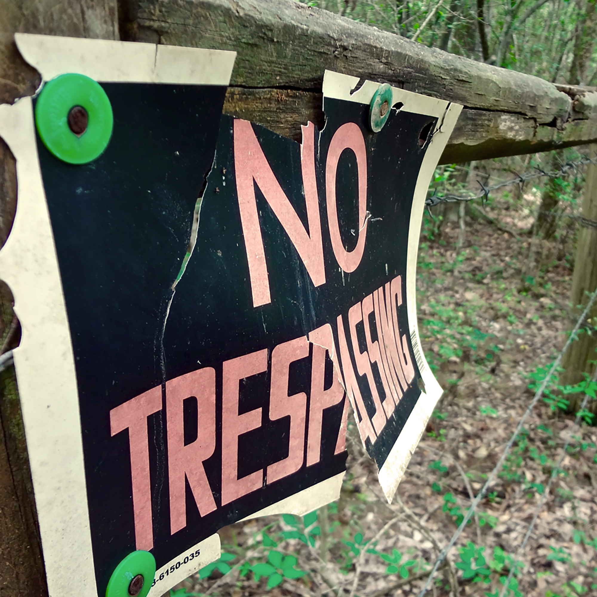 Thumbnail for "The Hilly Earth Society".