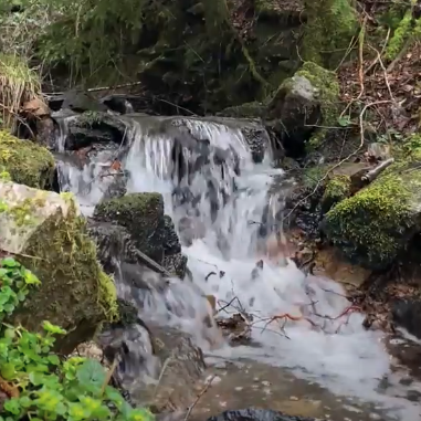 Sound Escape 126: Relax beside a magical woodland stream on the edge of Cardiff