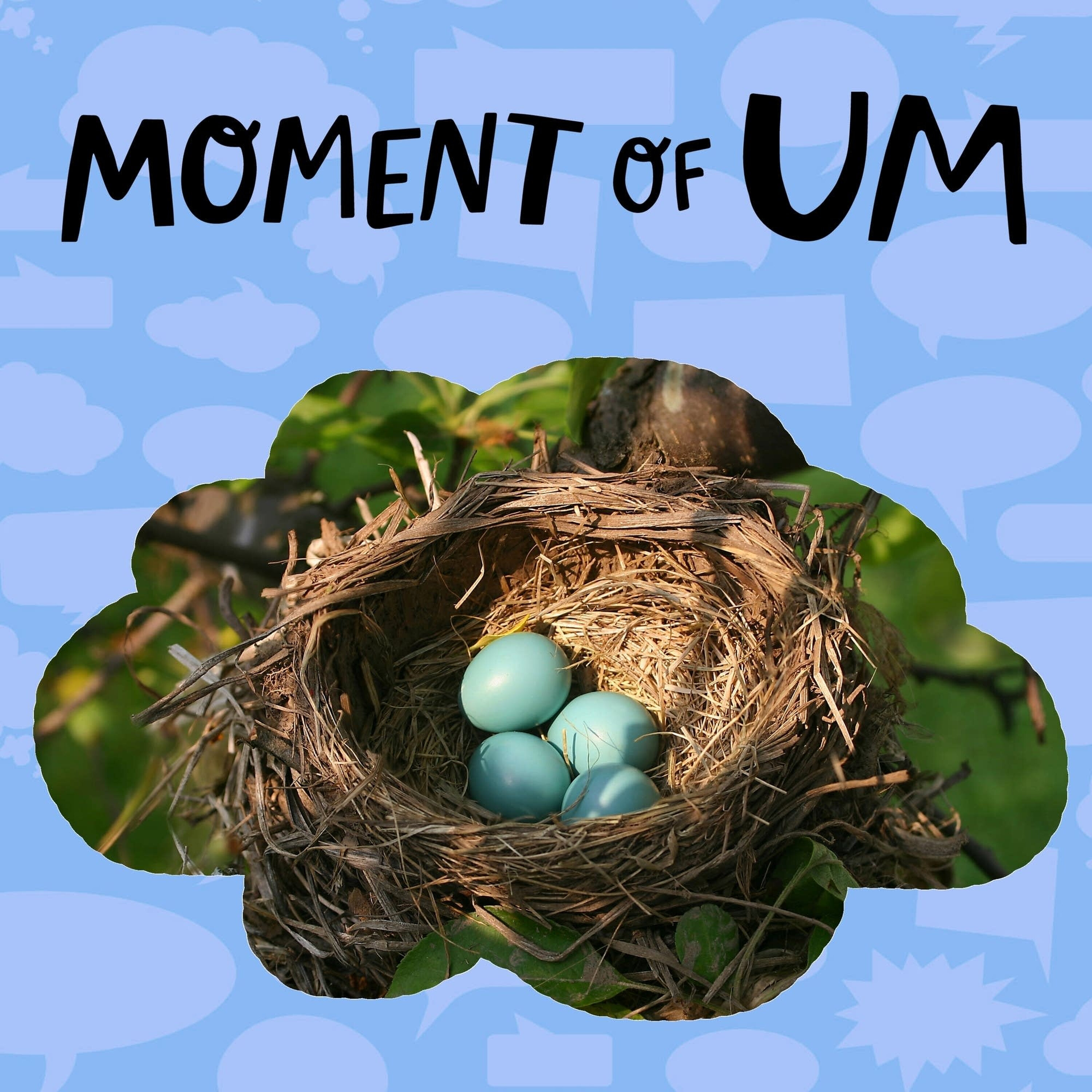 Do birds build a new nest every year?