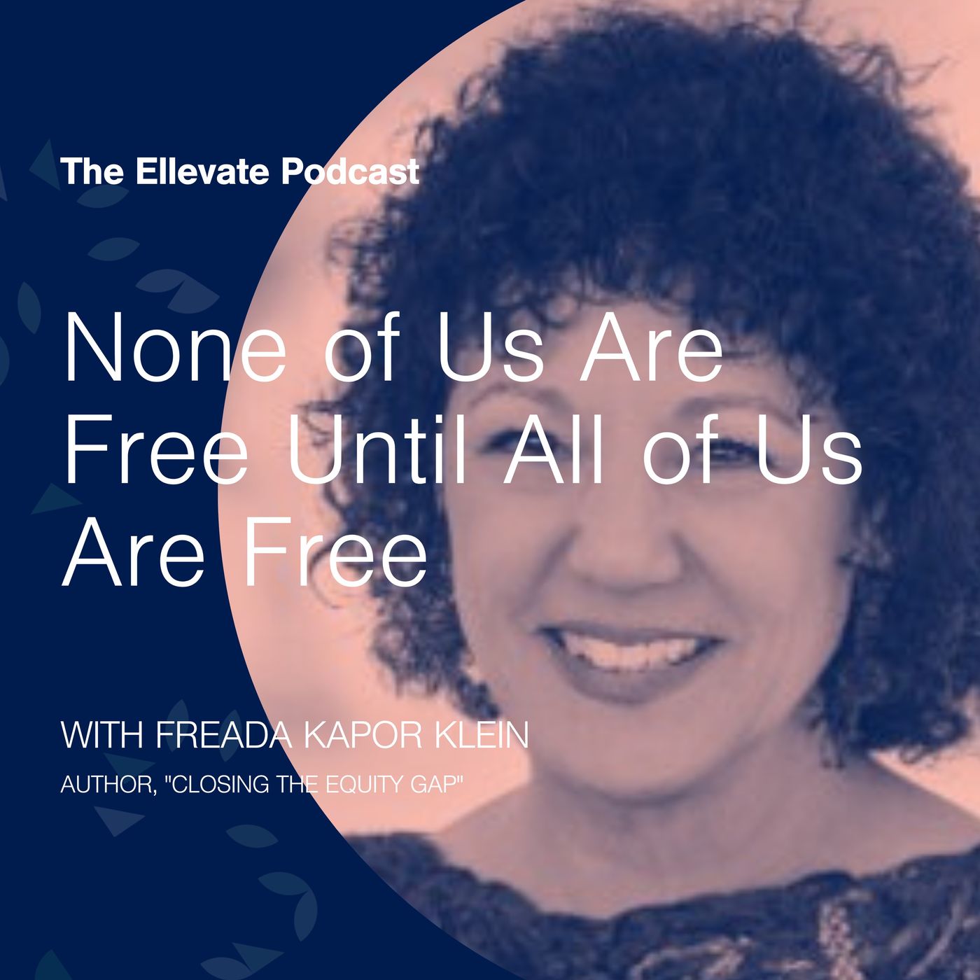 Episode 352: None of Us Are Free Until All of Us Are Free, with Freada Kapor Klein episode artwork