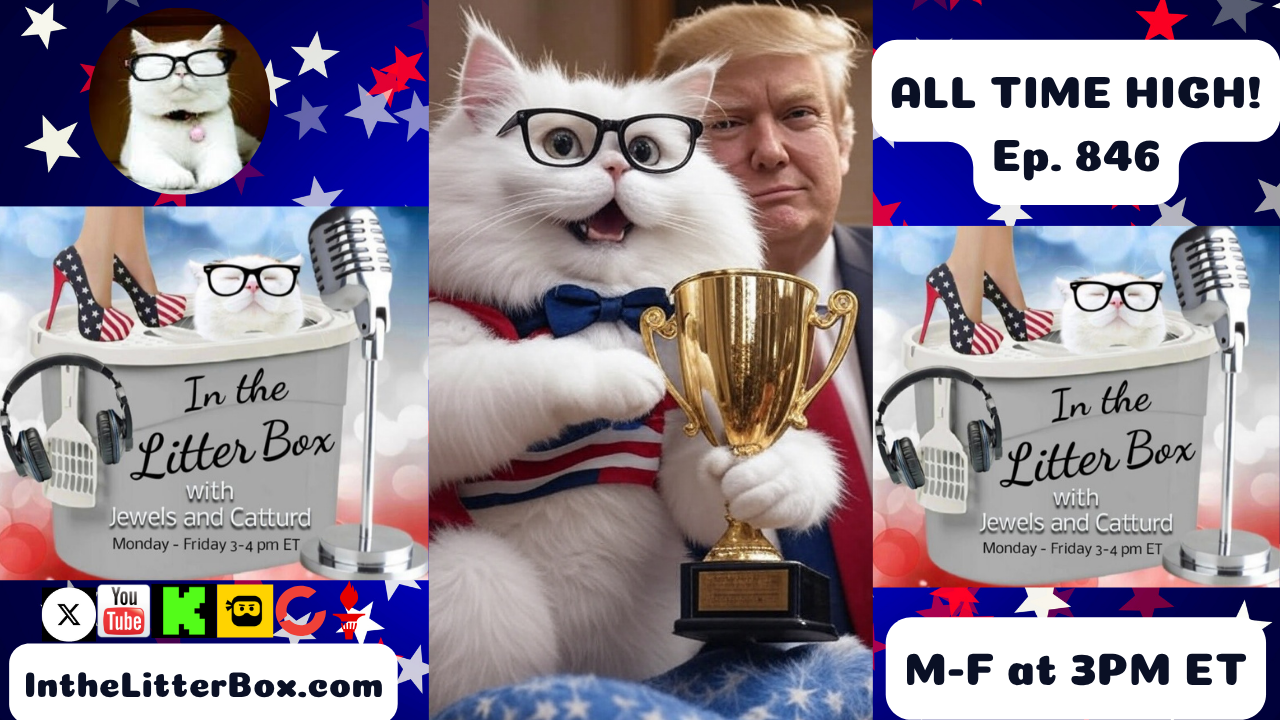 ALL TIME HIGH! | In the Litter Box w/ Jewels & Catturd – Ep. 846 – 7/22/2025
