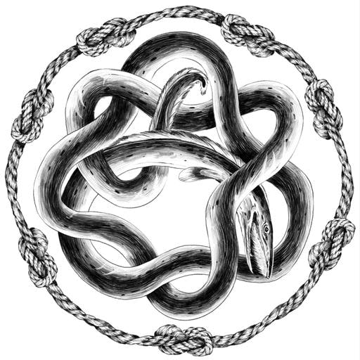 Sonic Society #857- Ear Eels(042025) Sonic Society #857- Ear Eels(042025)