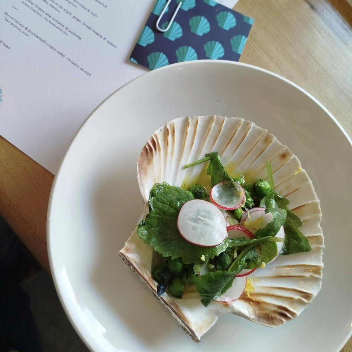 The challenge with Scottish scallops The challenge with Scottish scallops