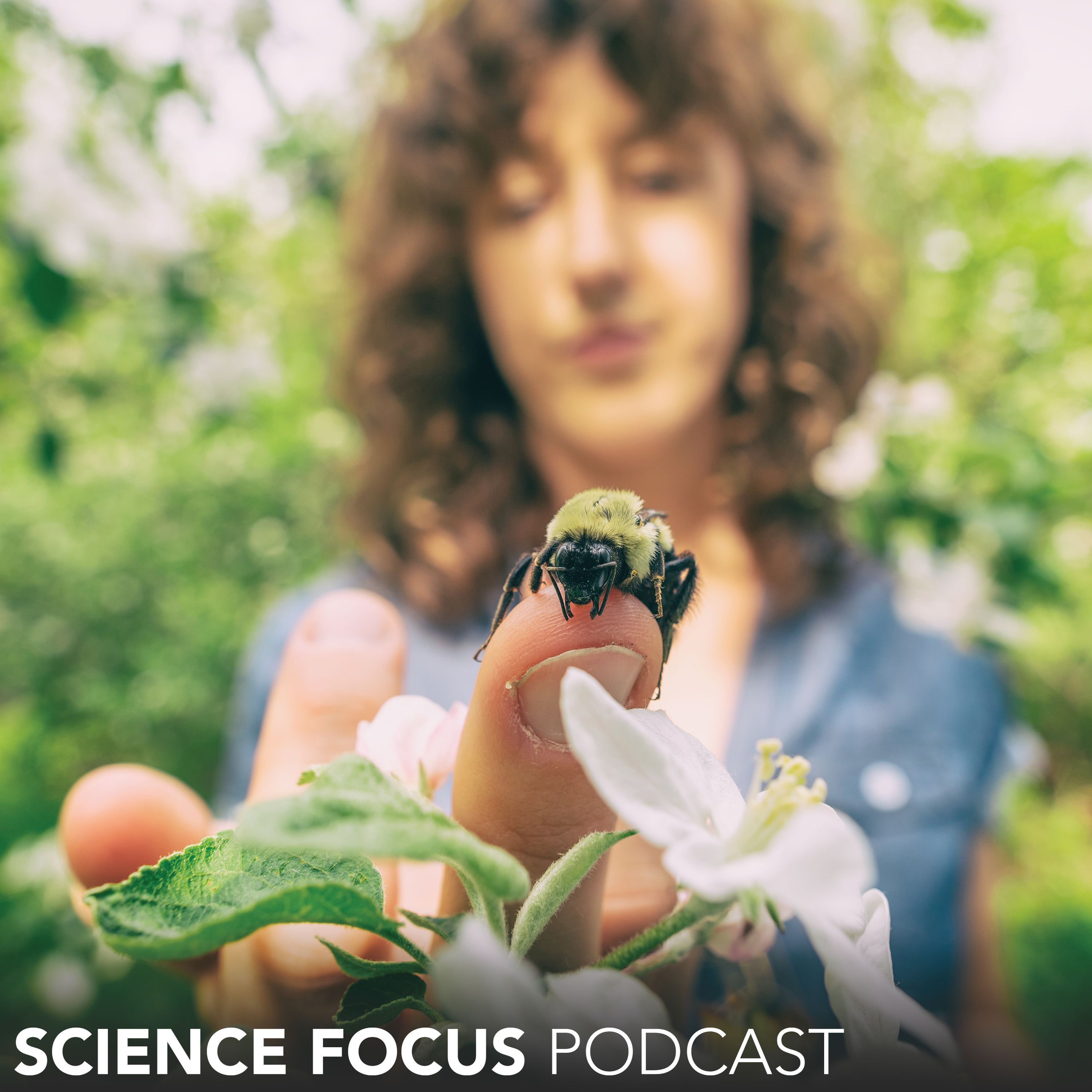 Samantha Alger: What can we do to save the bees?