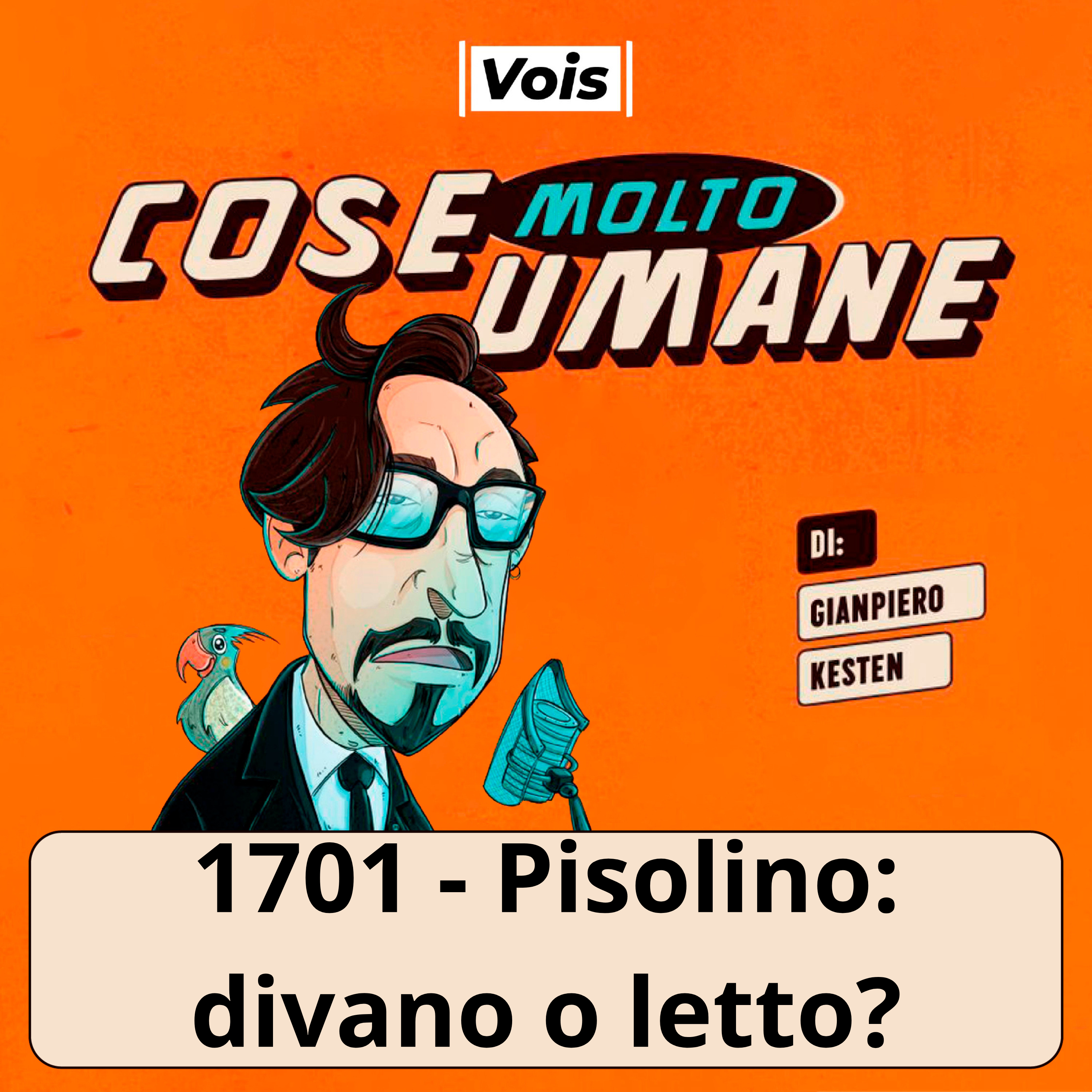 1701 - Pisolino sul divano o sul letto?