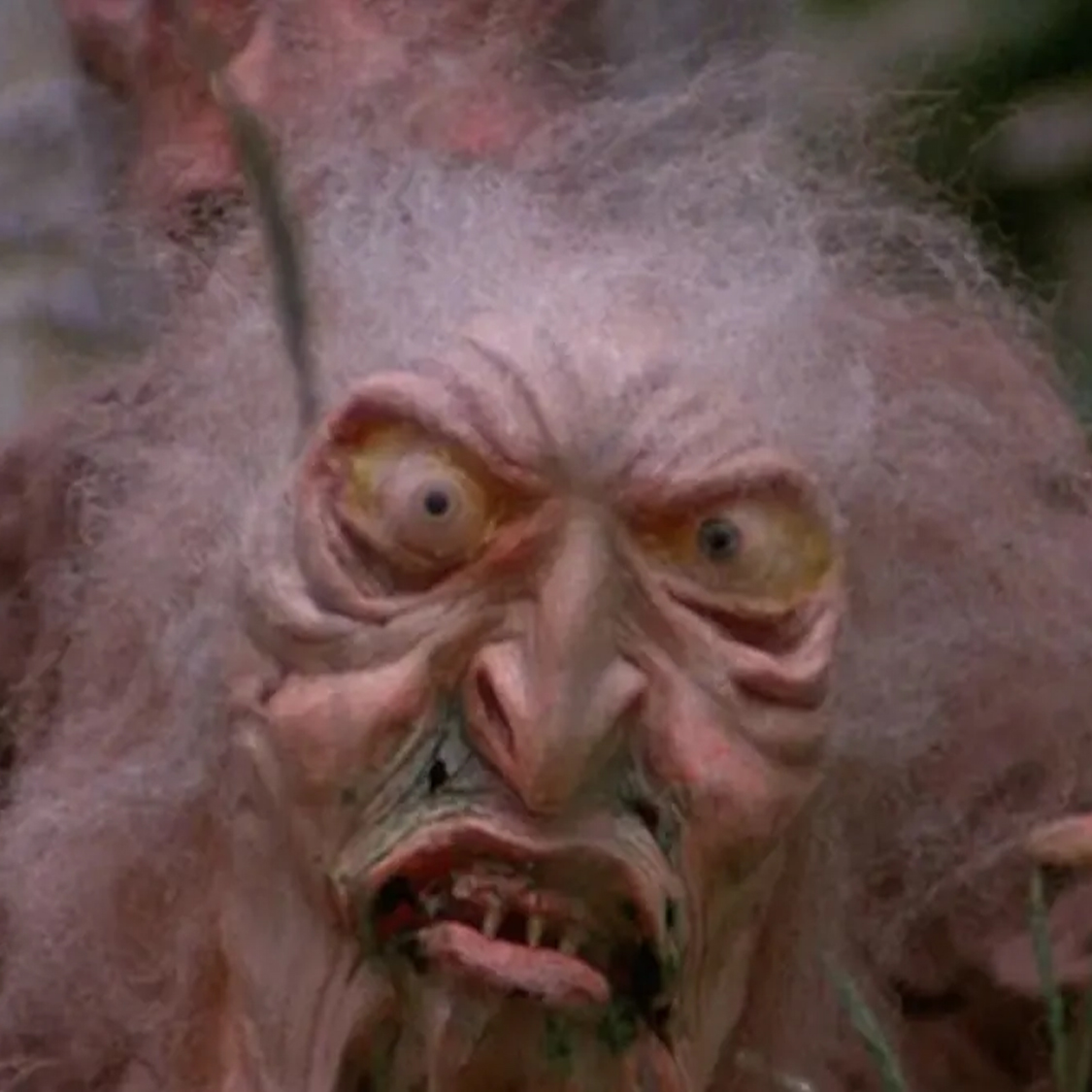 Troll 2 (1990) (f/Robert Bacon)