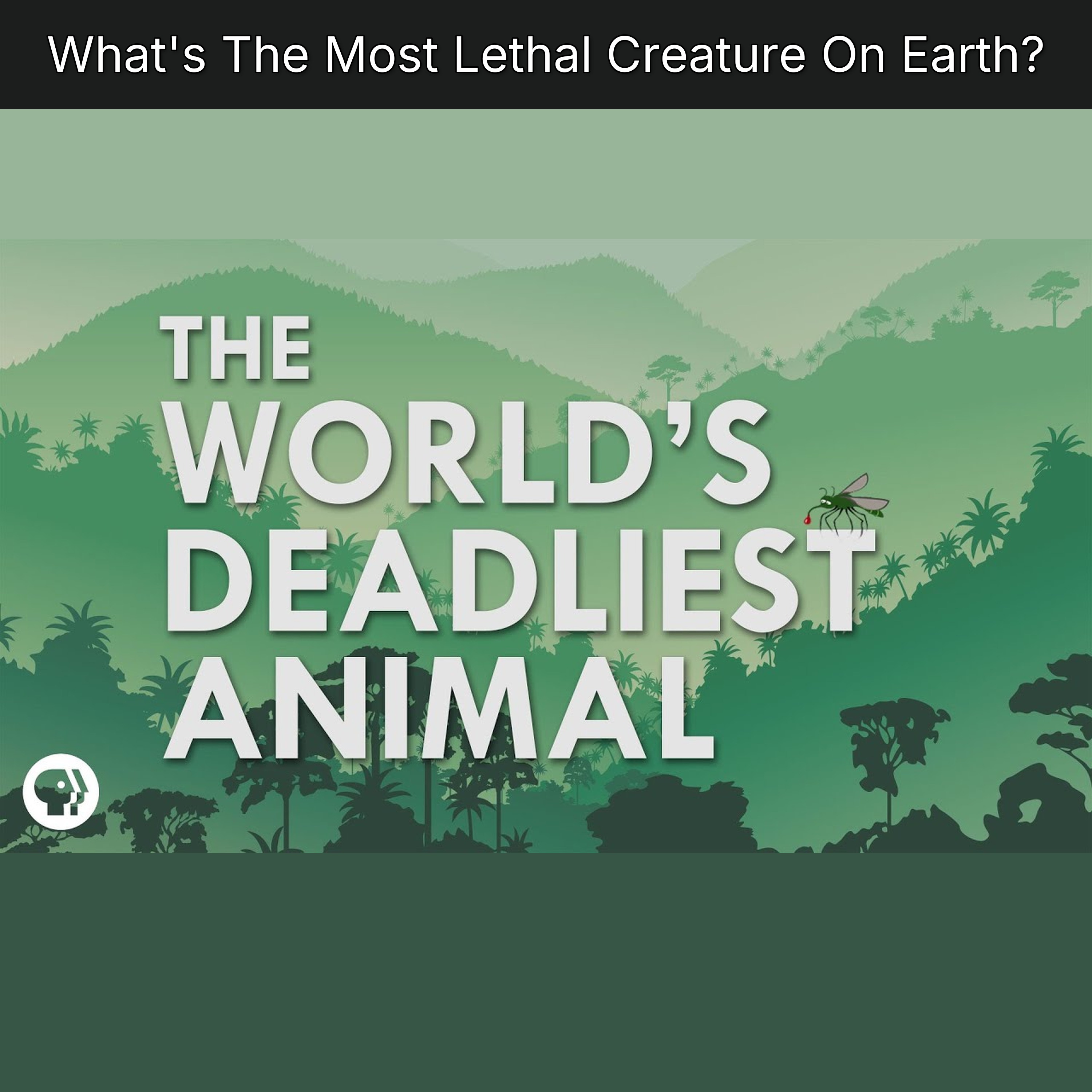 What's The Most Lethal Creature On Earth? episode artwork