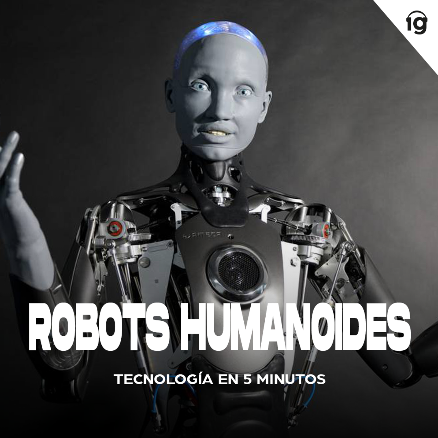 Robots Humanoides