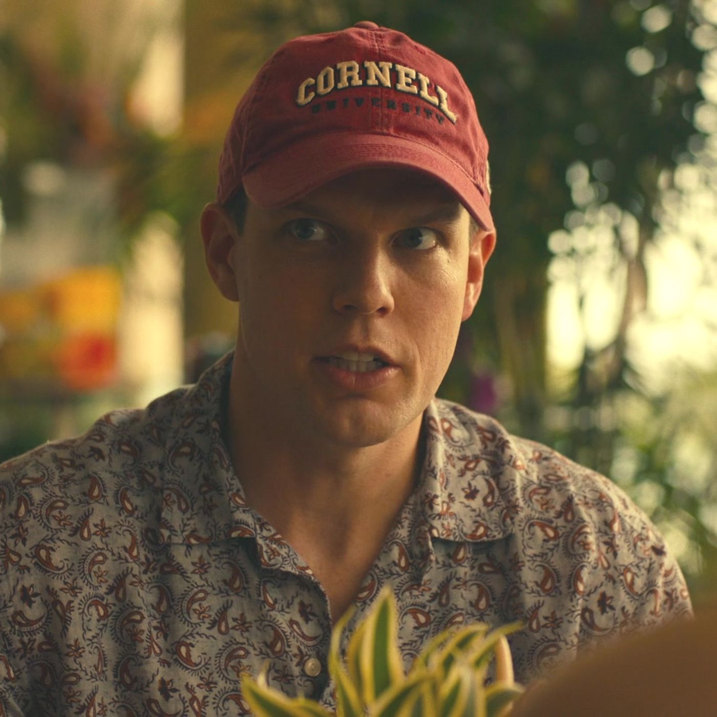 Welcome to the White Lotus