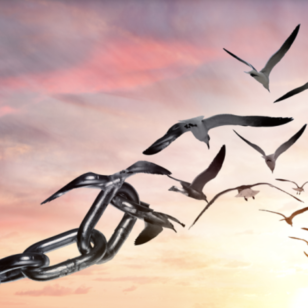 George Hammond: How Can We Be Sure We Have Free Will?