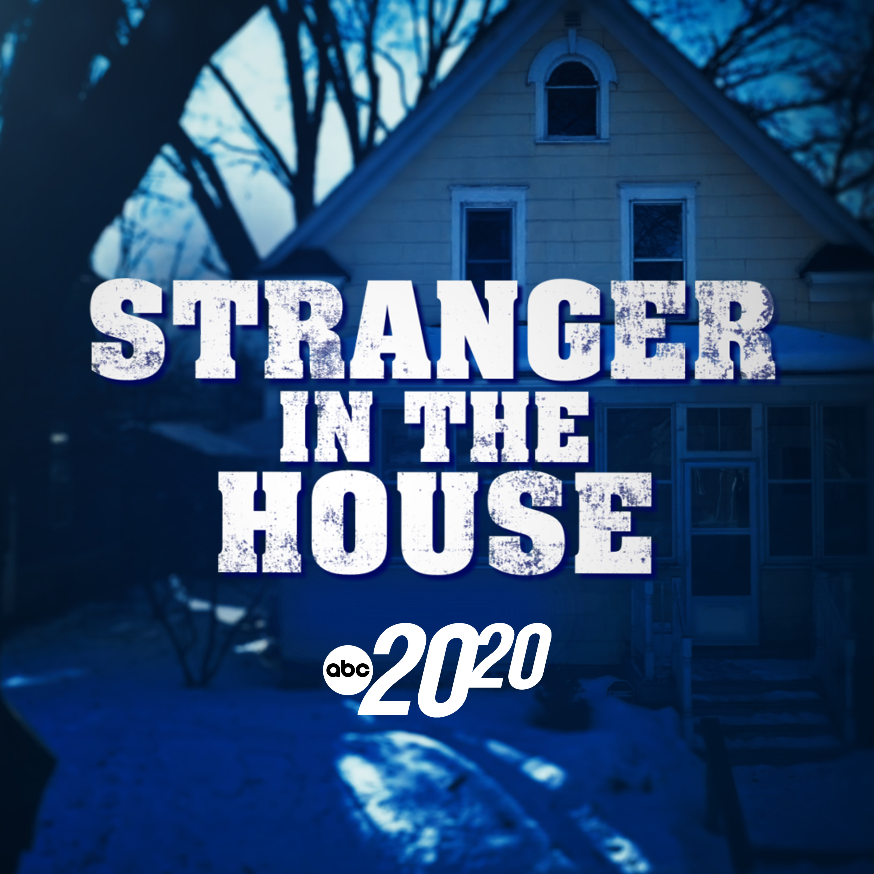 Stranger in the House