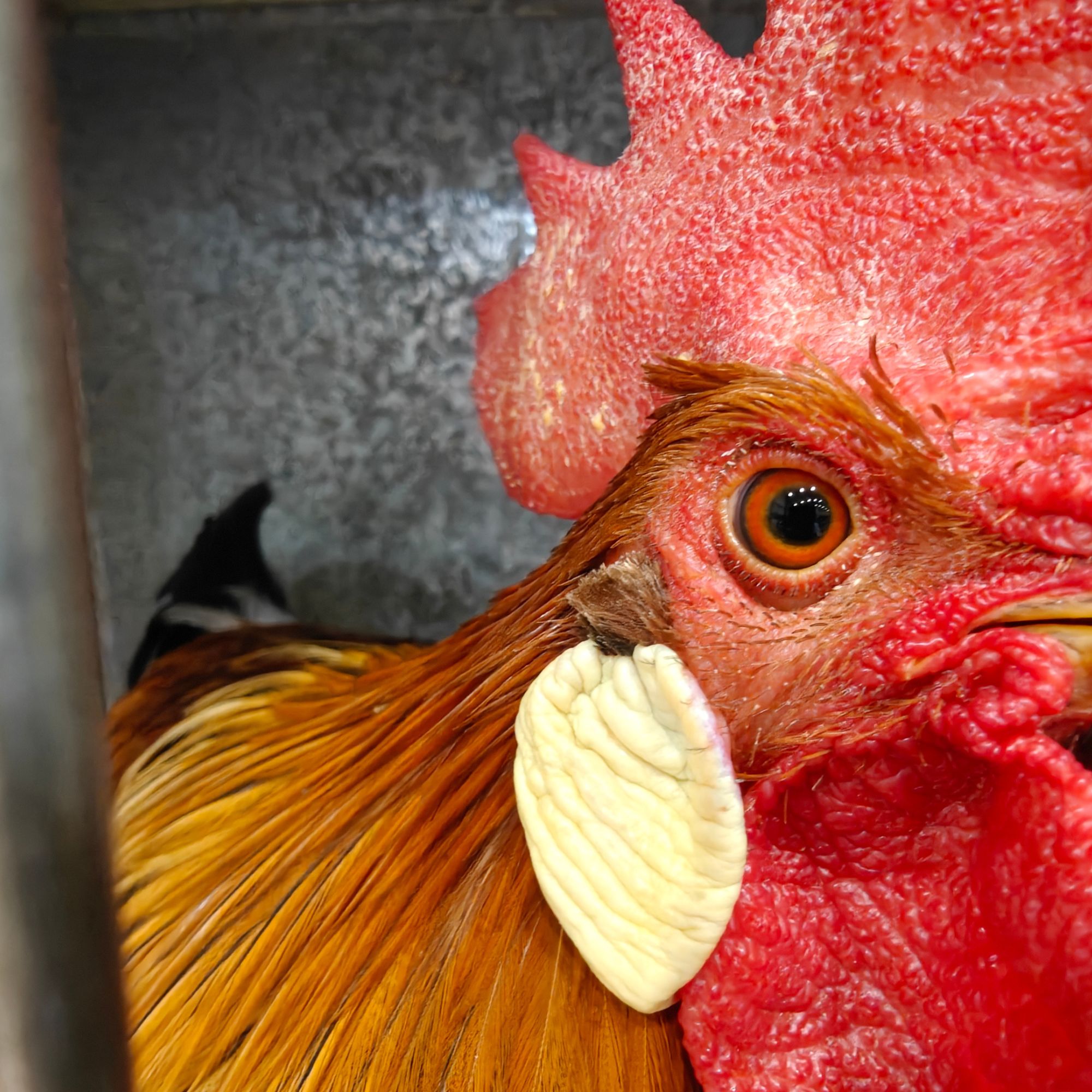 #728 PRIVATE - The usual stuff