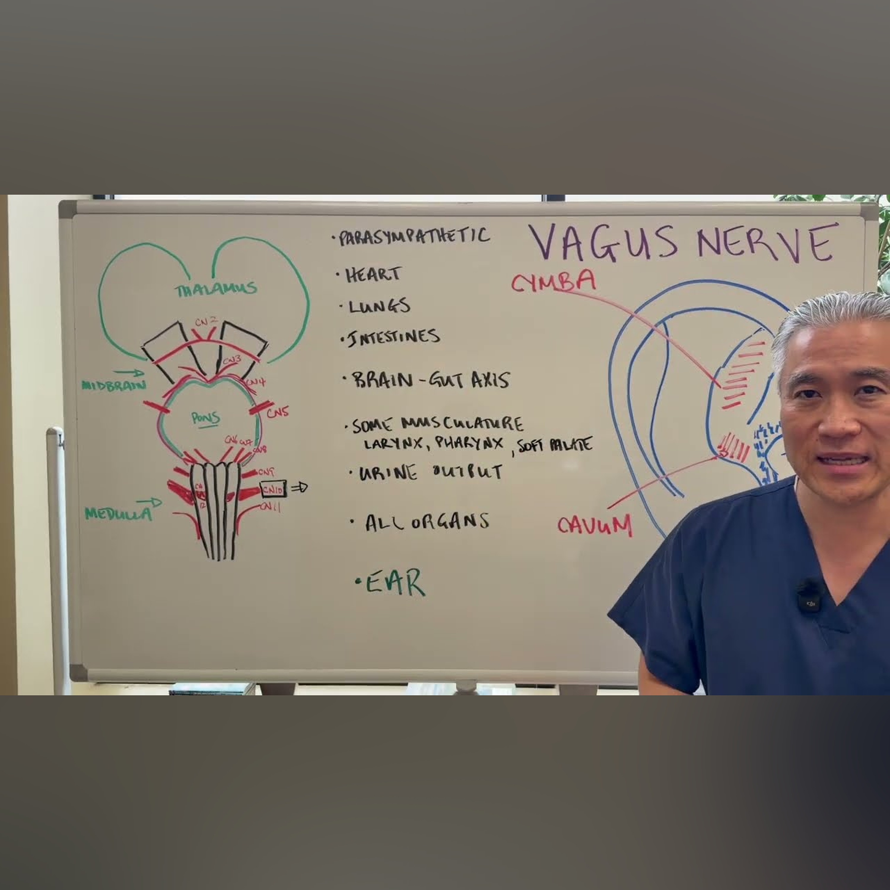 Vagus Nerve Reset-Improve Sleep and Anxiety episode artwork