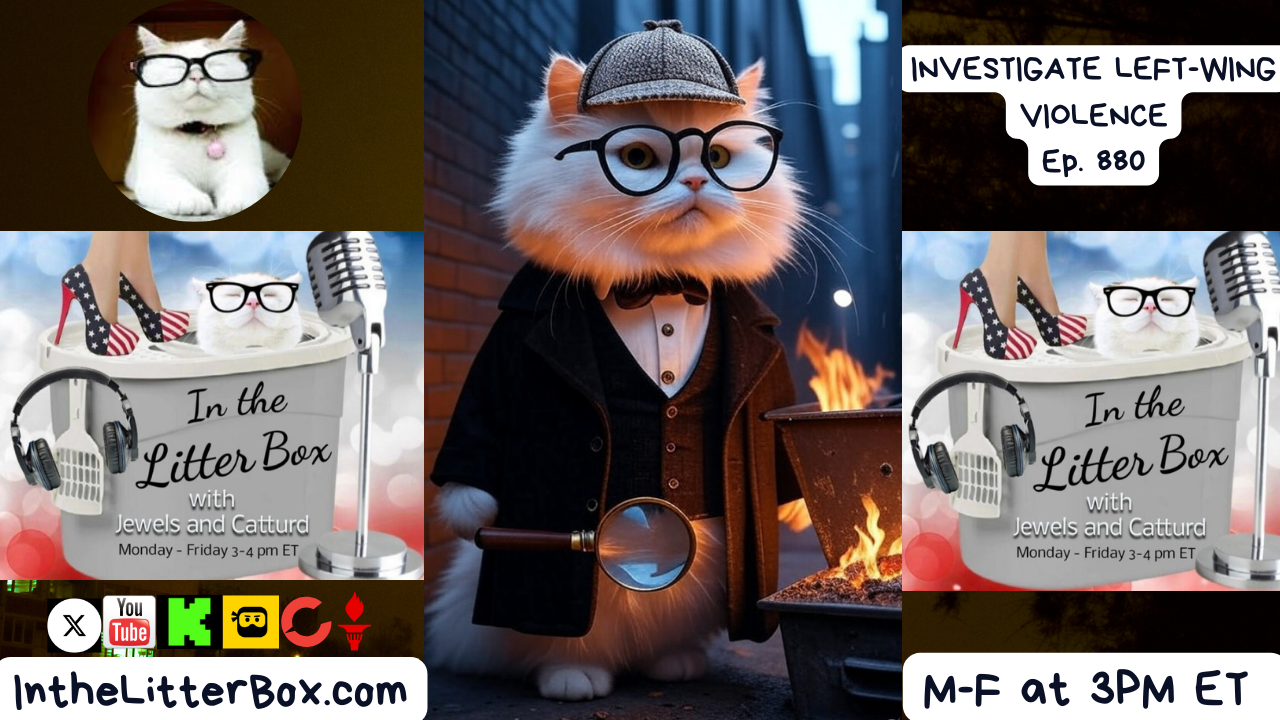 INVESTIGATE LEFT-WING VIOLENCE | In the Litter Box w/ Jewels & Catturd – Ep. 880 9/12/2025