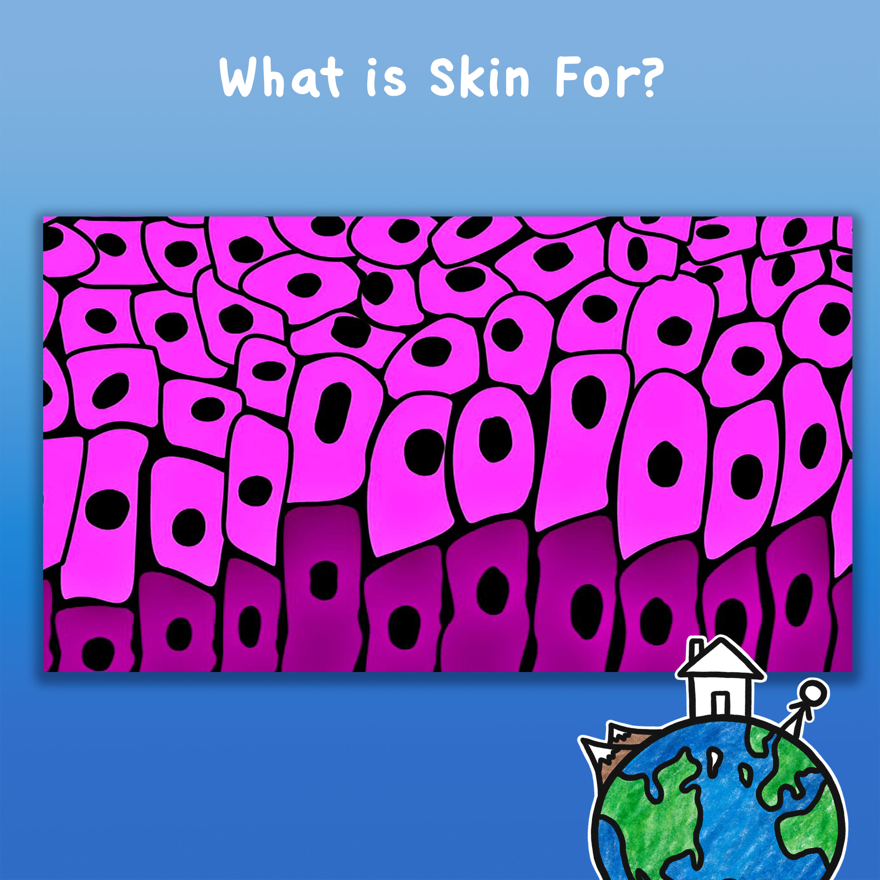 What is Skin For?