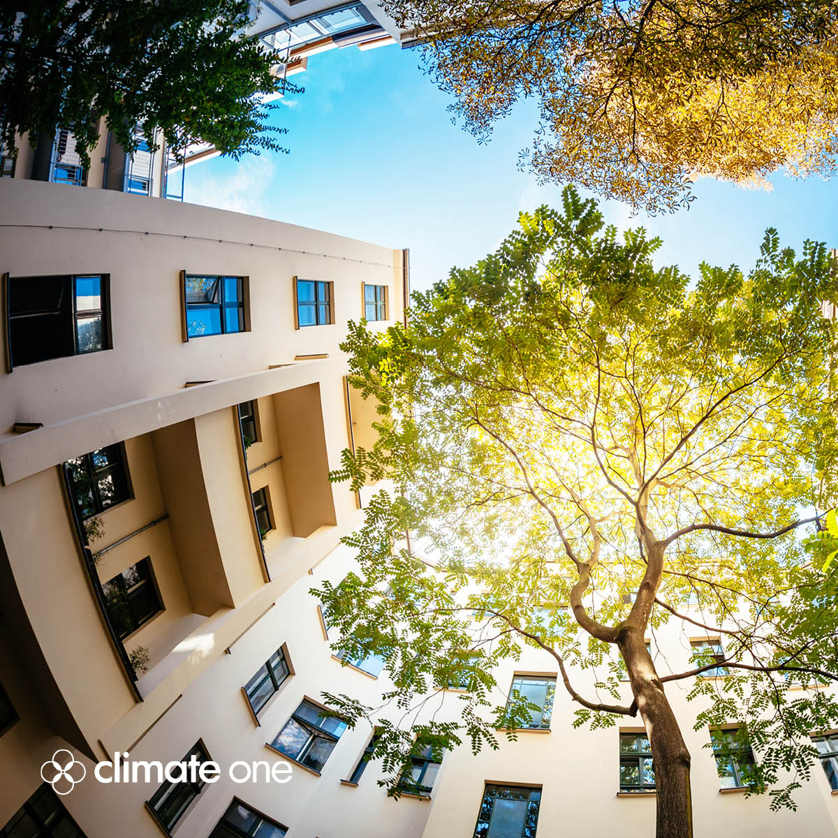 Rebuilding for Climate: Successful City Strategies