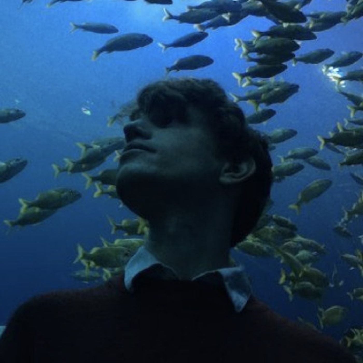 Dan Powell | Creating a Radio Drama Podcast (Archive 81, Deep Vault)