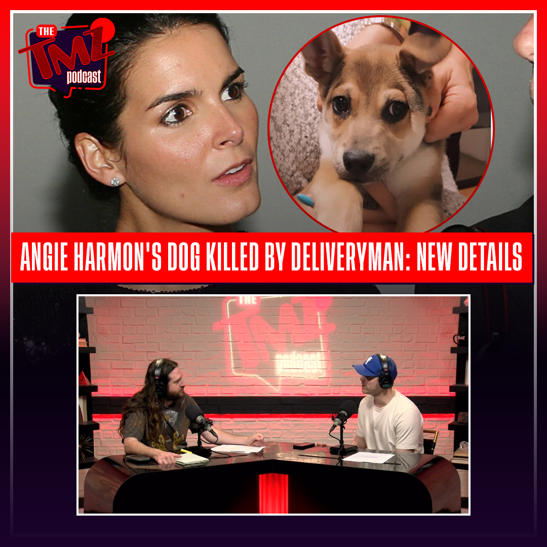 Angie Harmon's Dog Shot & Killed By Instacart Driver: New Details