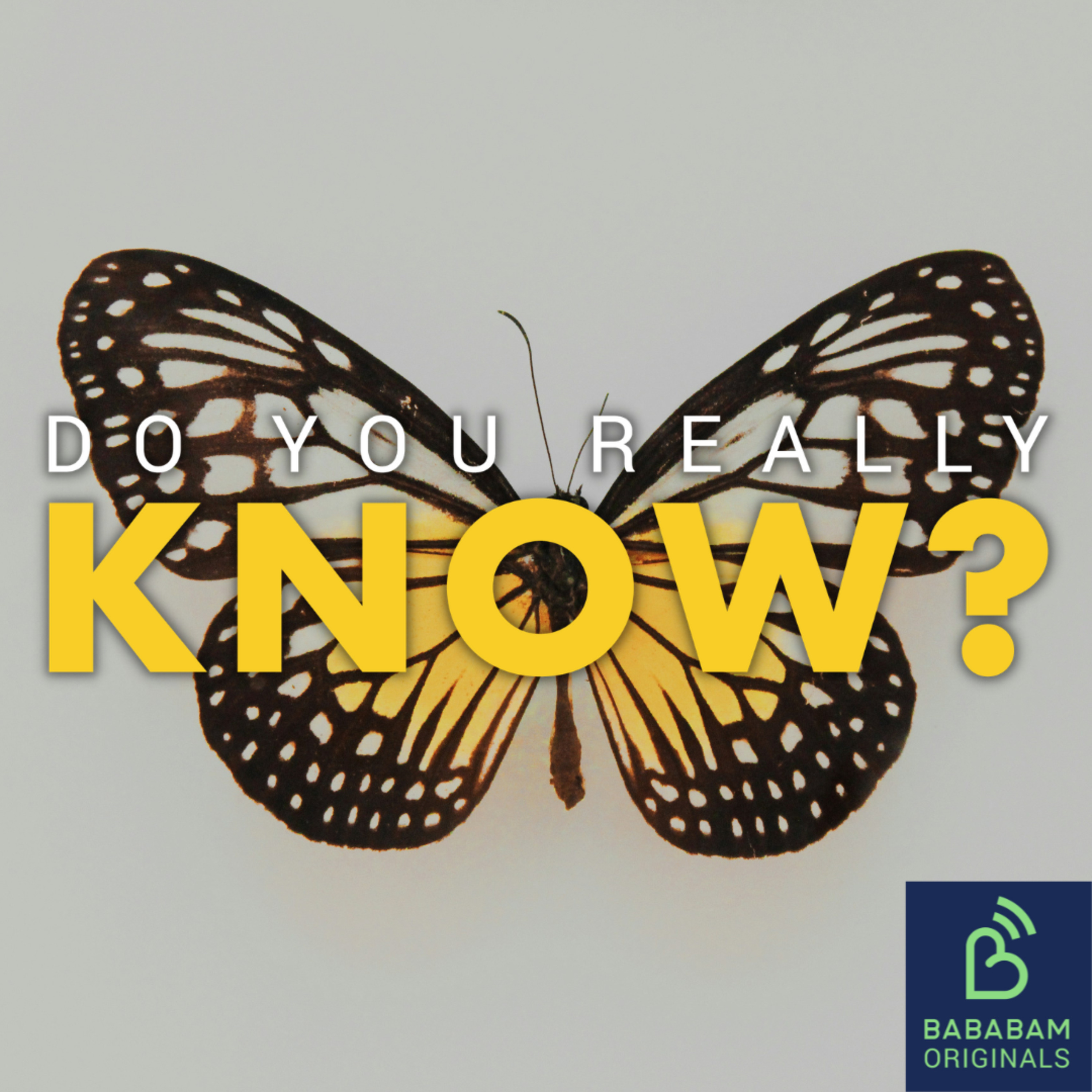 What is the butterfly effect and how does it affect our lives? Do you