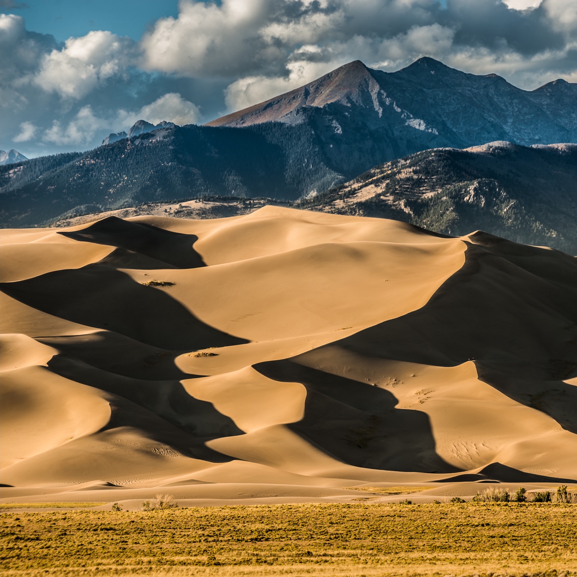 133 Sand in Our Shoes Sand Dune National Parks