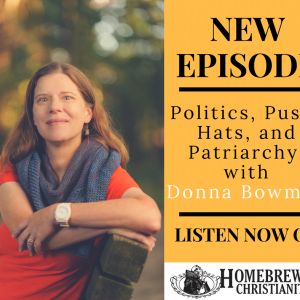 Politics, Pussy Hats, and Patriarchy with Donna Bowman