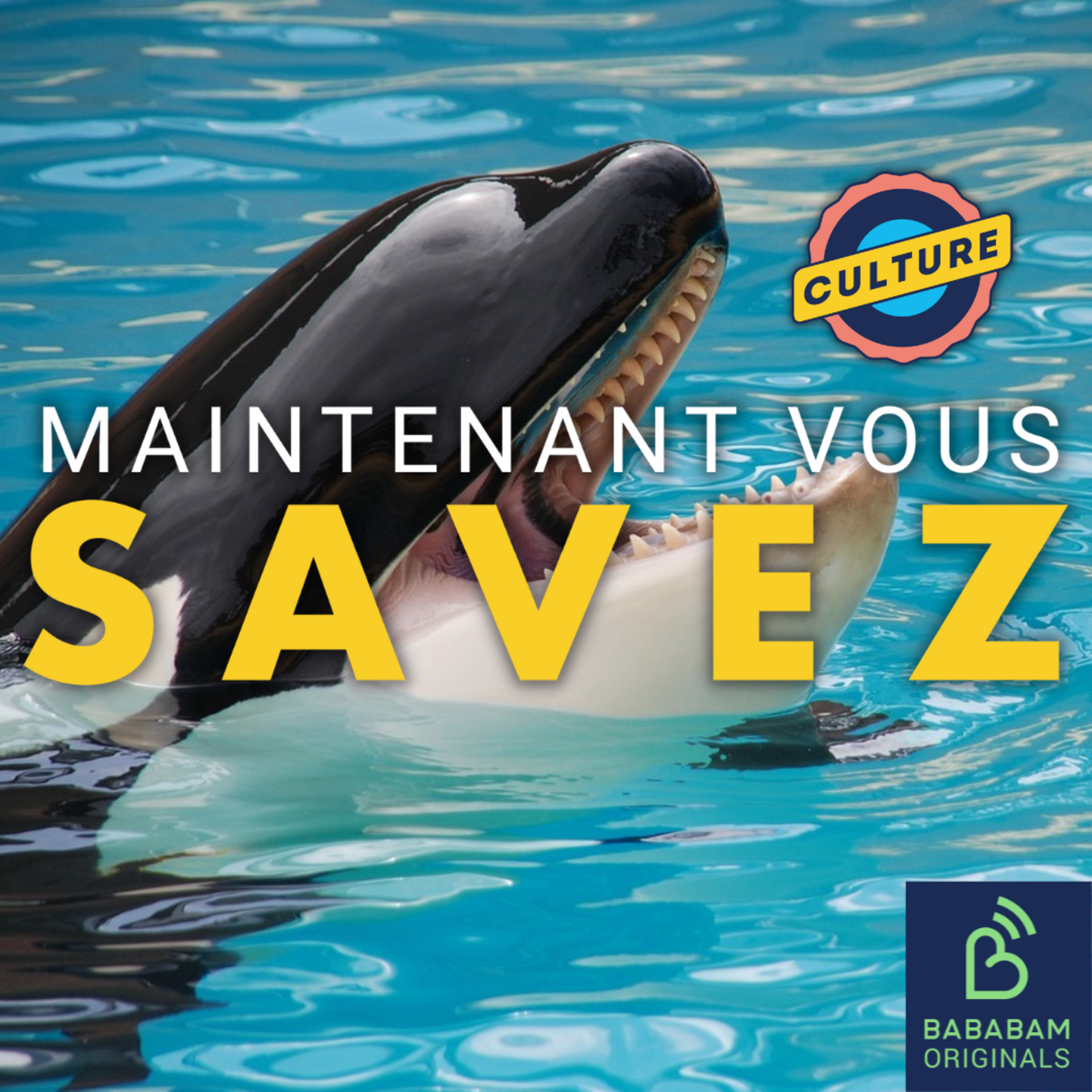 A-t-on vraiment sauvé Willy ? episode artwork