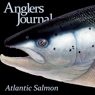 Salmon: Fish of a Thousand Casts 