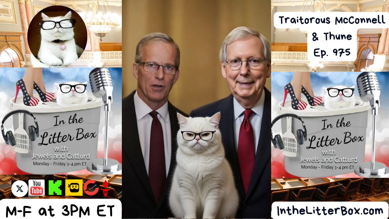 Traitorous McConnell & Thune | In the Litter Box w/ Jewels Jones & Catturd – Ep. 975 – 2/23/2026