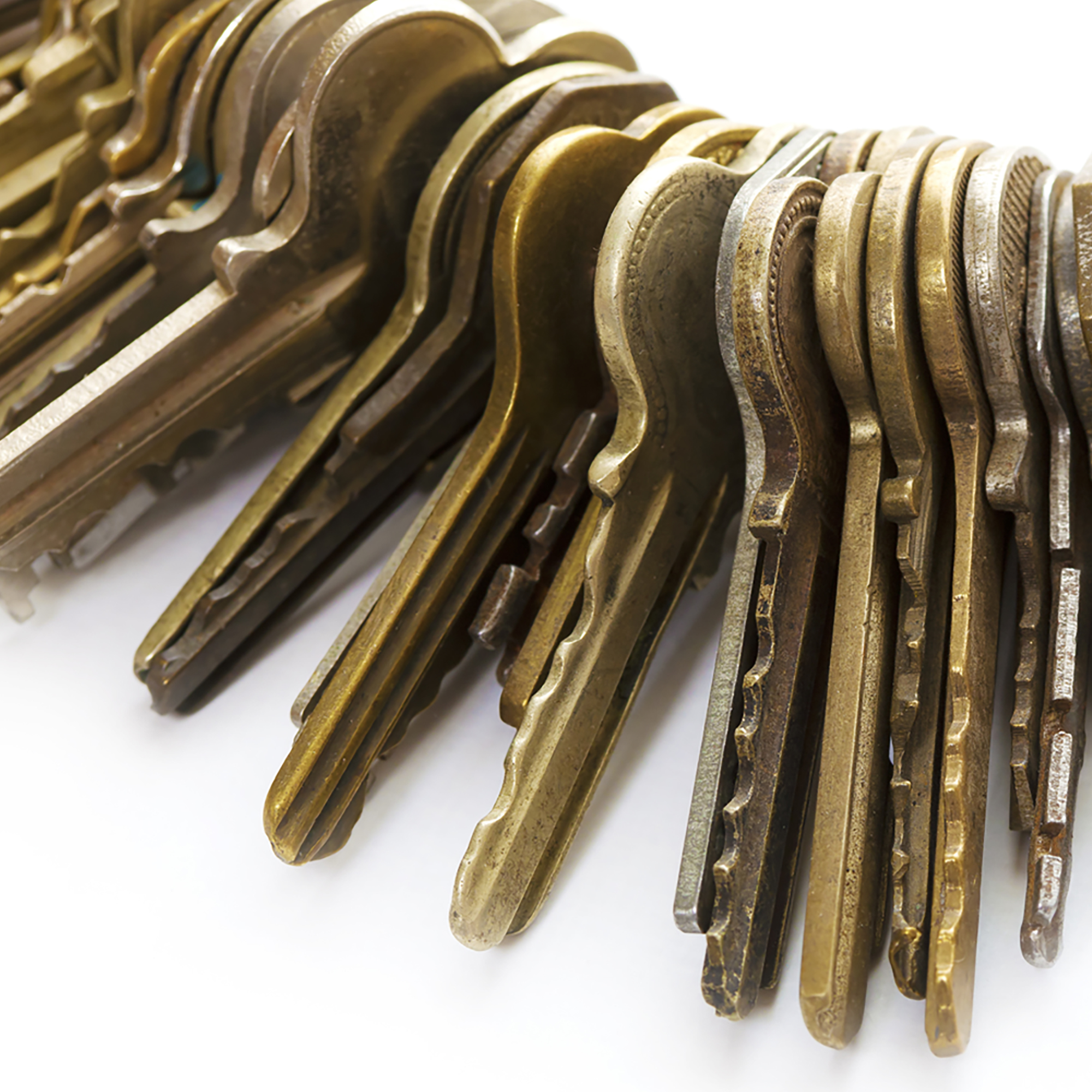 Thumbnail for "The Co-op".