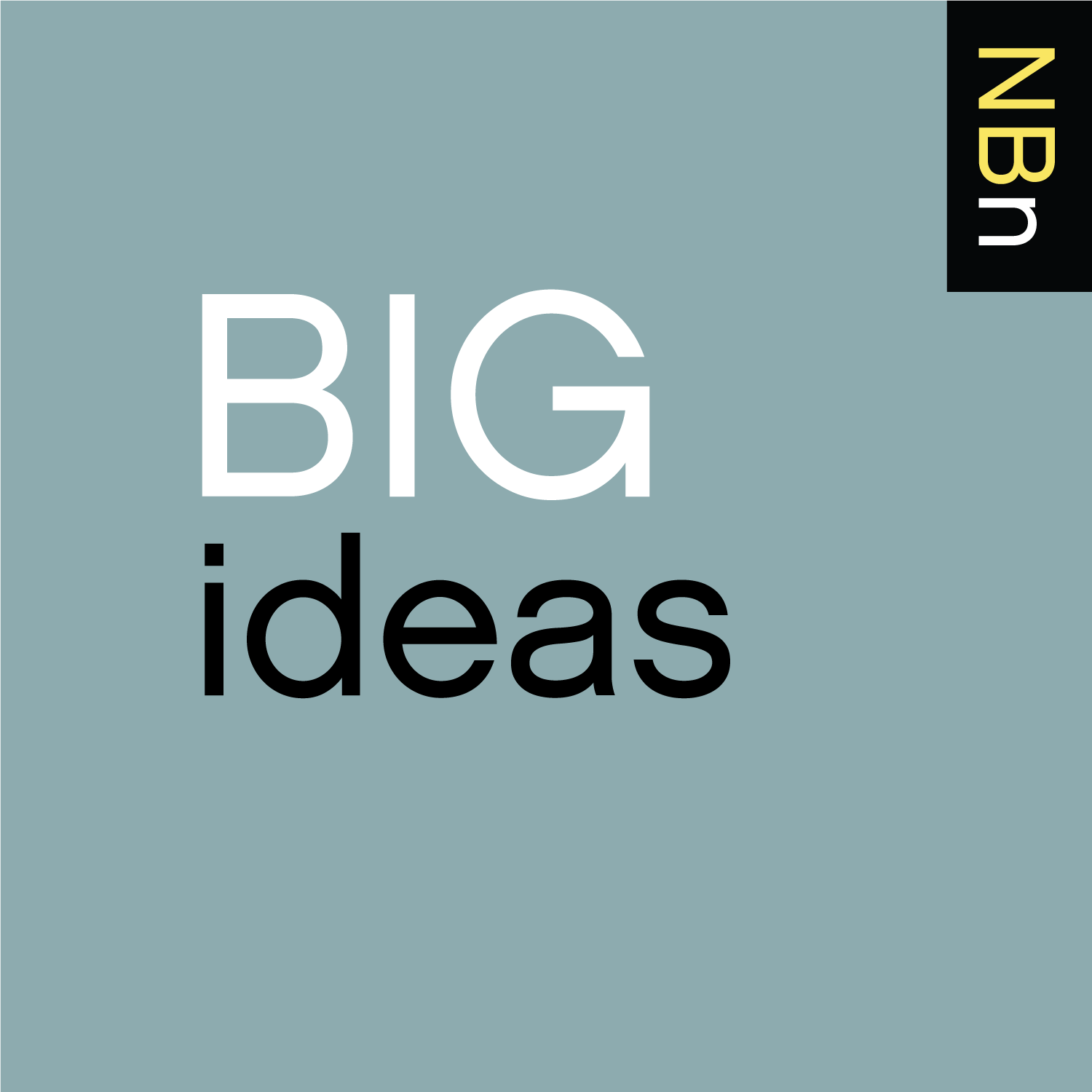 Premium Ad-Free: New Books in Big Ideas podcast tile