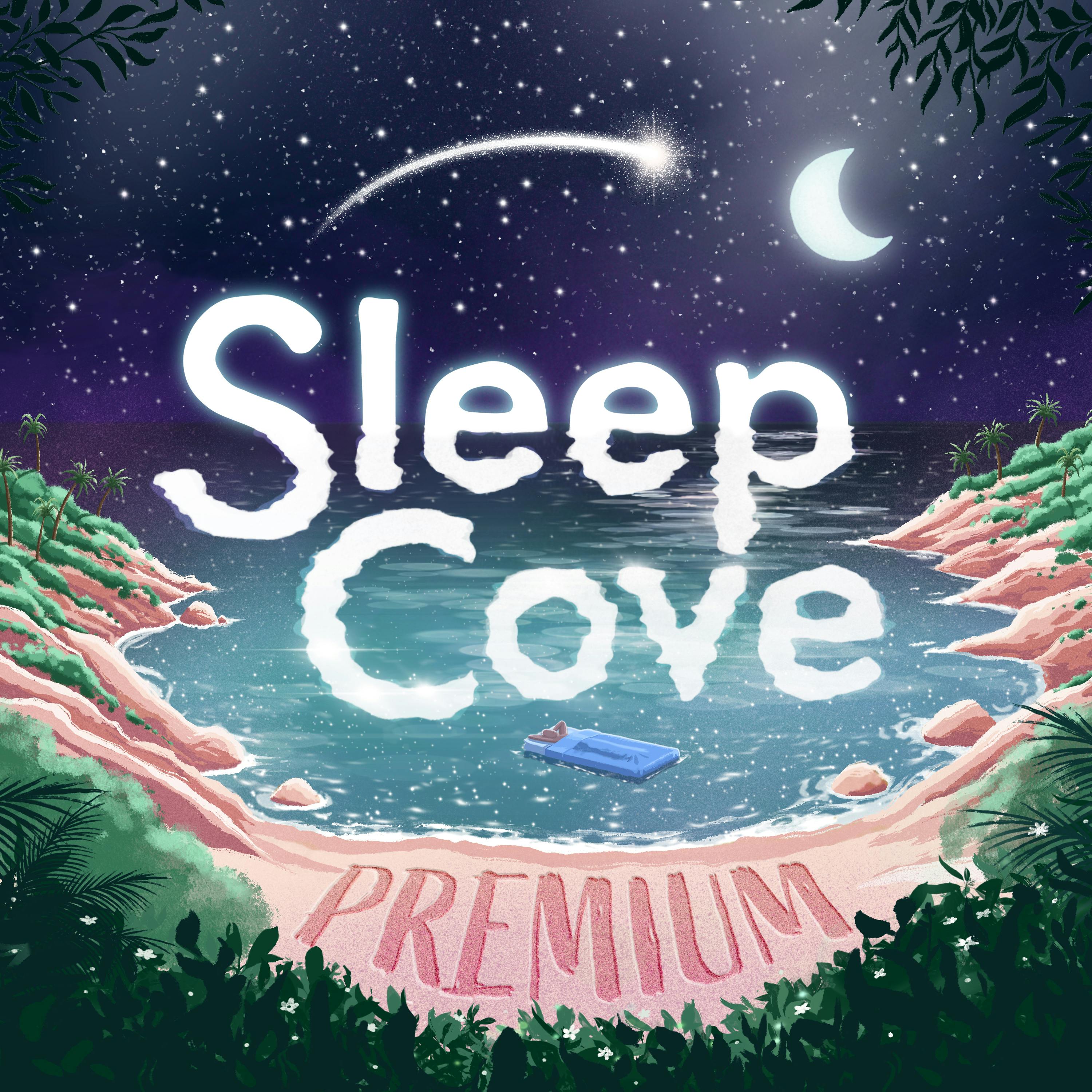 Sleep Hypnosis for Insomnia with Ocean Wave Sounds (Premium)