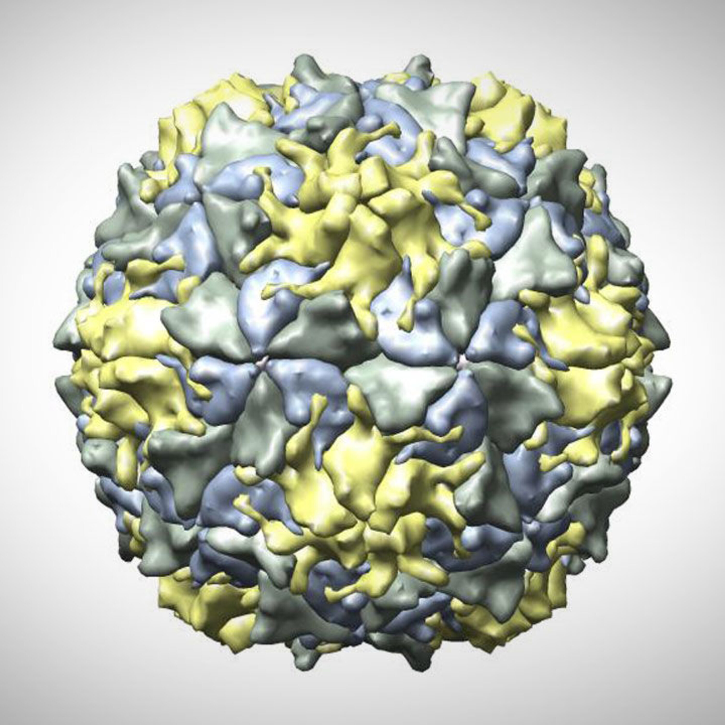 A polio outbreak threatens global eradication plans, and what happened to America’s first dogs