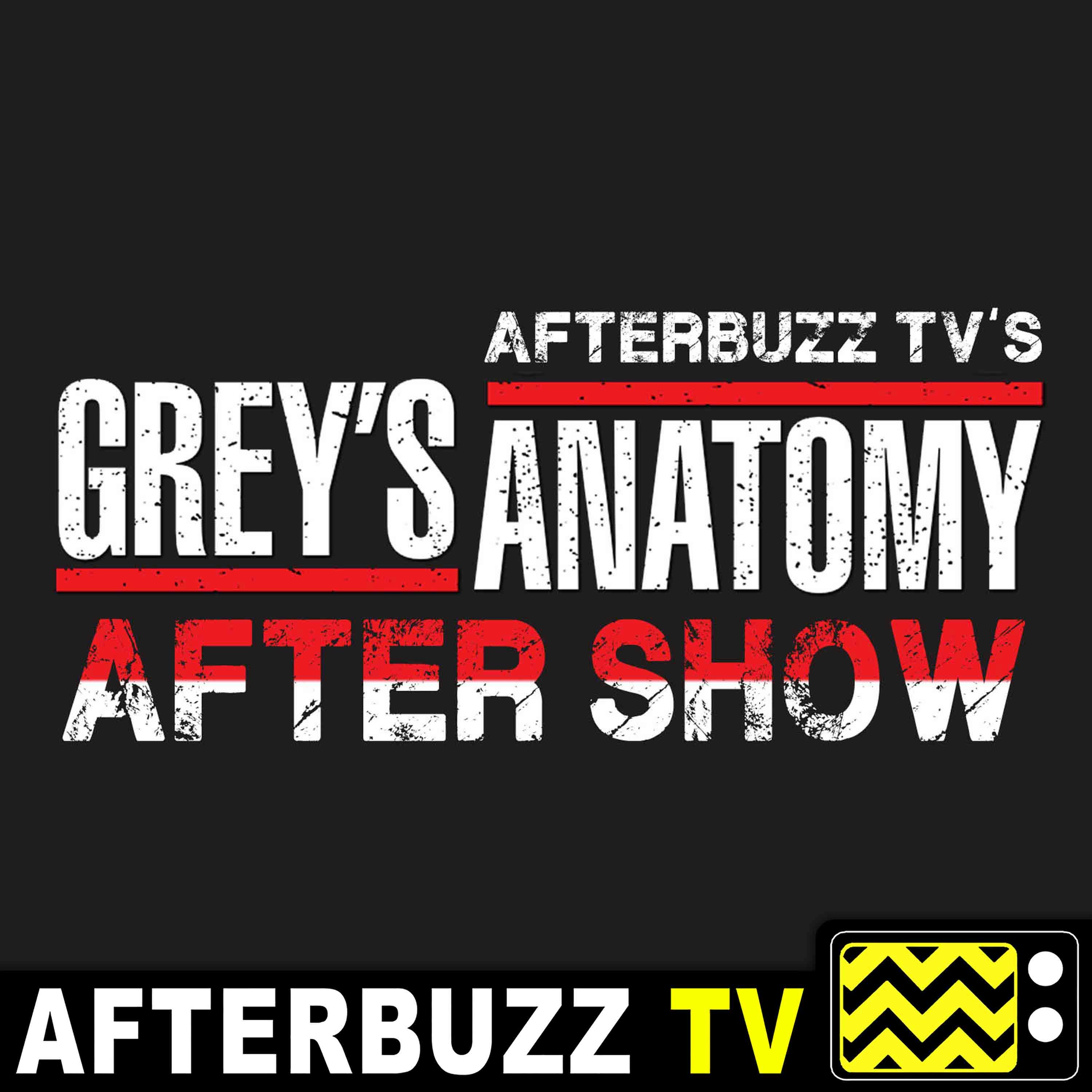 Grey’s Anatomy S:13 | Be Still, My Soul E:18 | AfterBuzz TV AfterShow