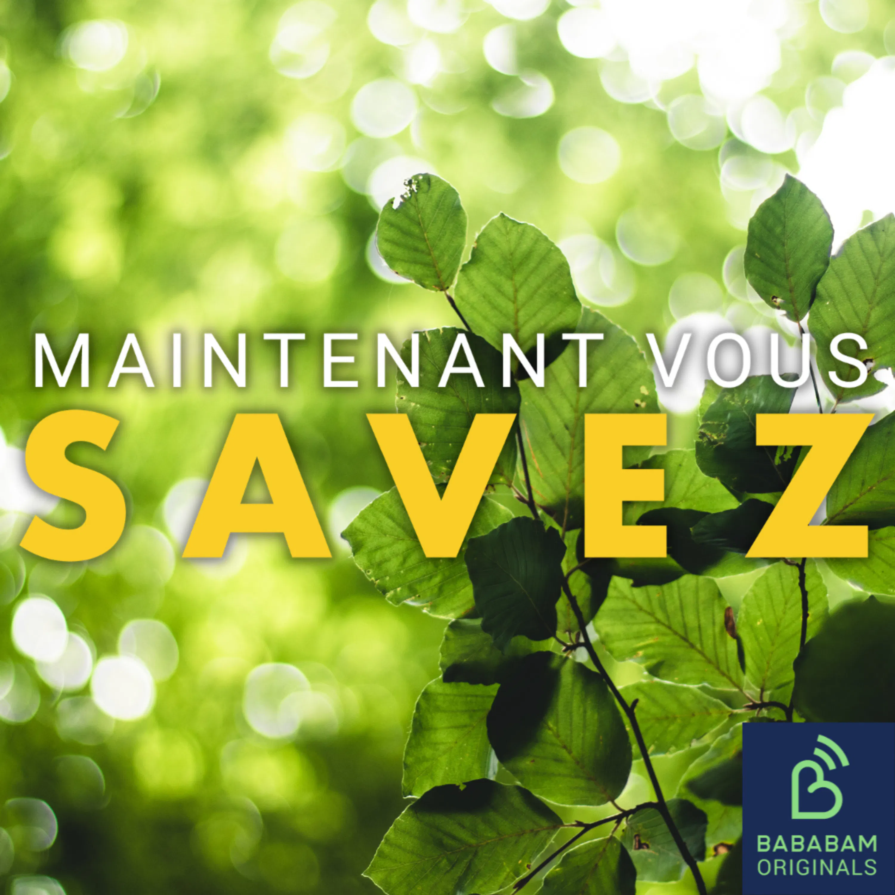 Pourquoi mes plantes meurent-elles tout le temps ?