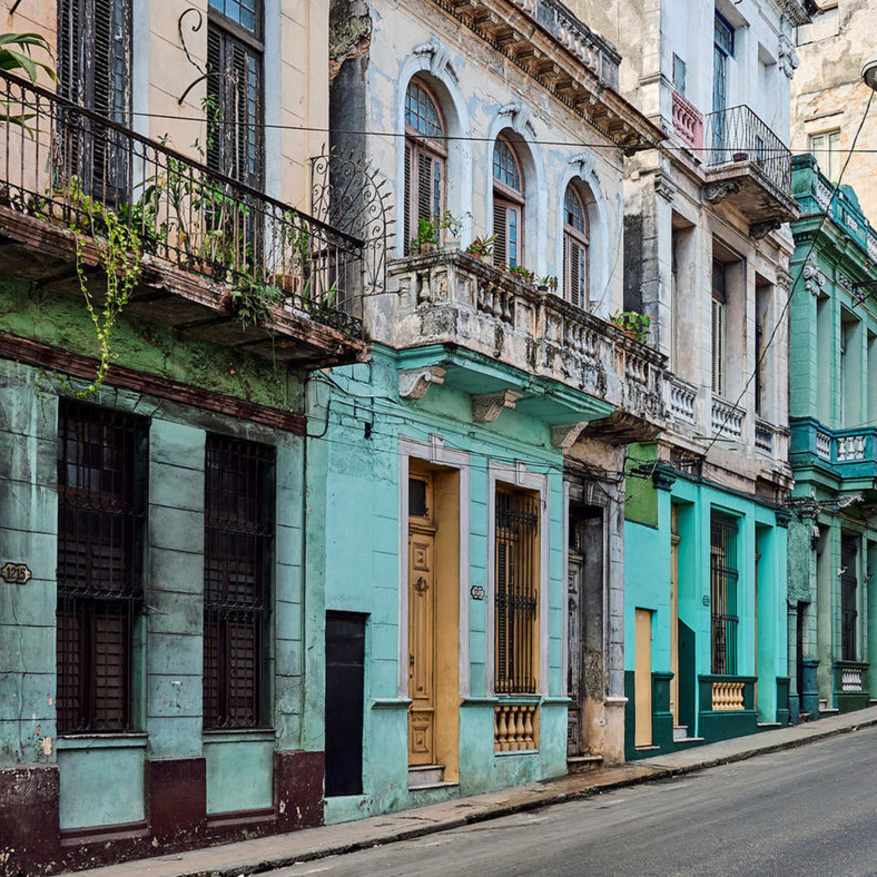 New evidence in Cuba’s ‘sonic attacks,’ and finding an extinct gibbon—in a royal Chinese tomb