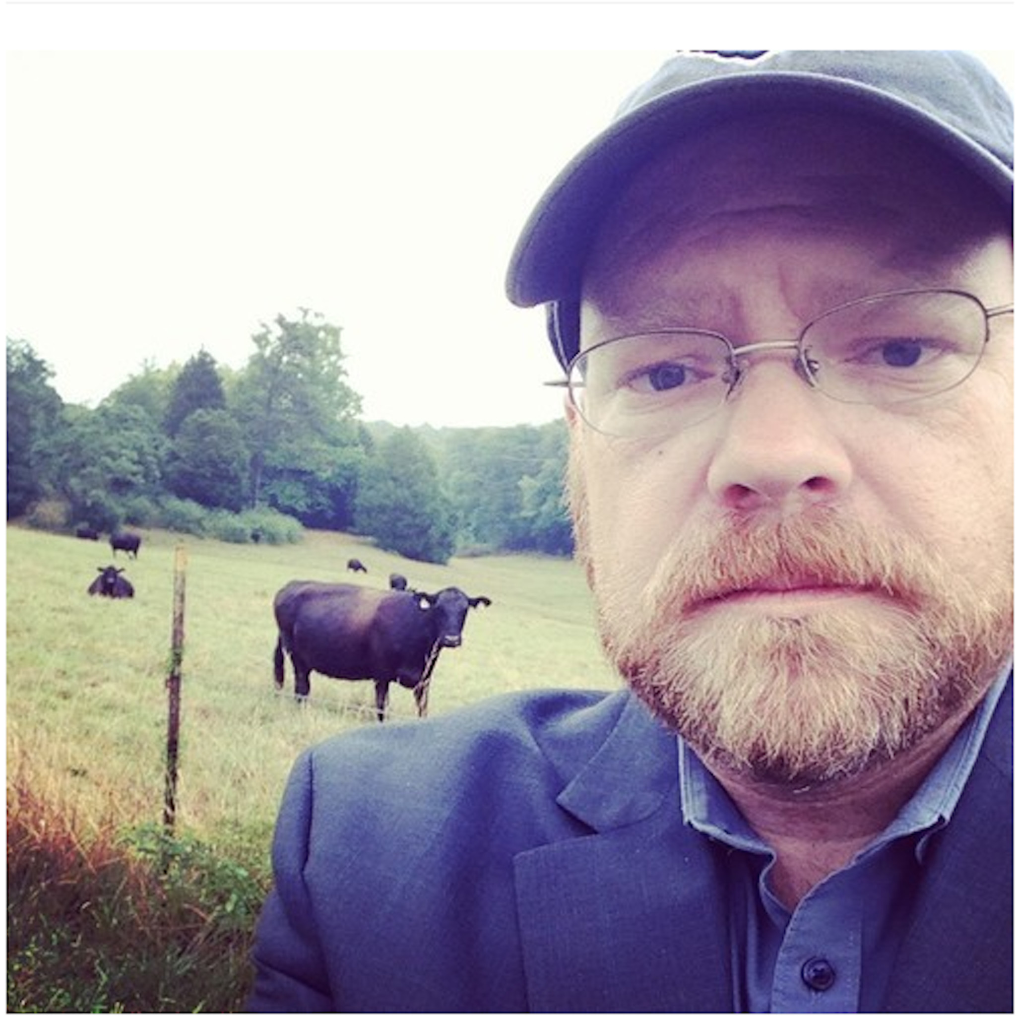 It's all about the Llamas!