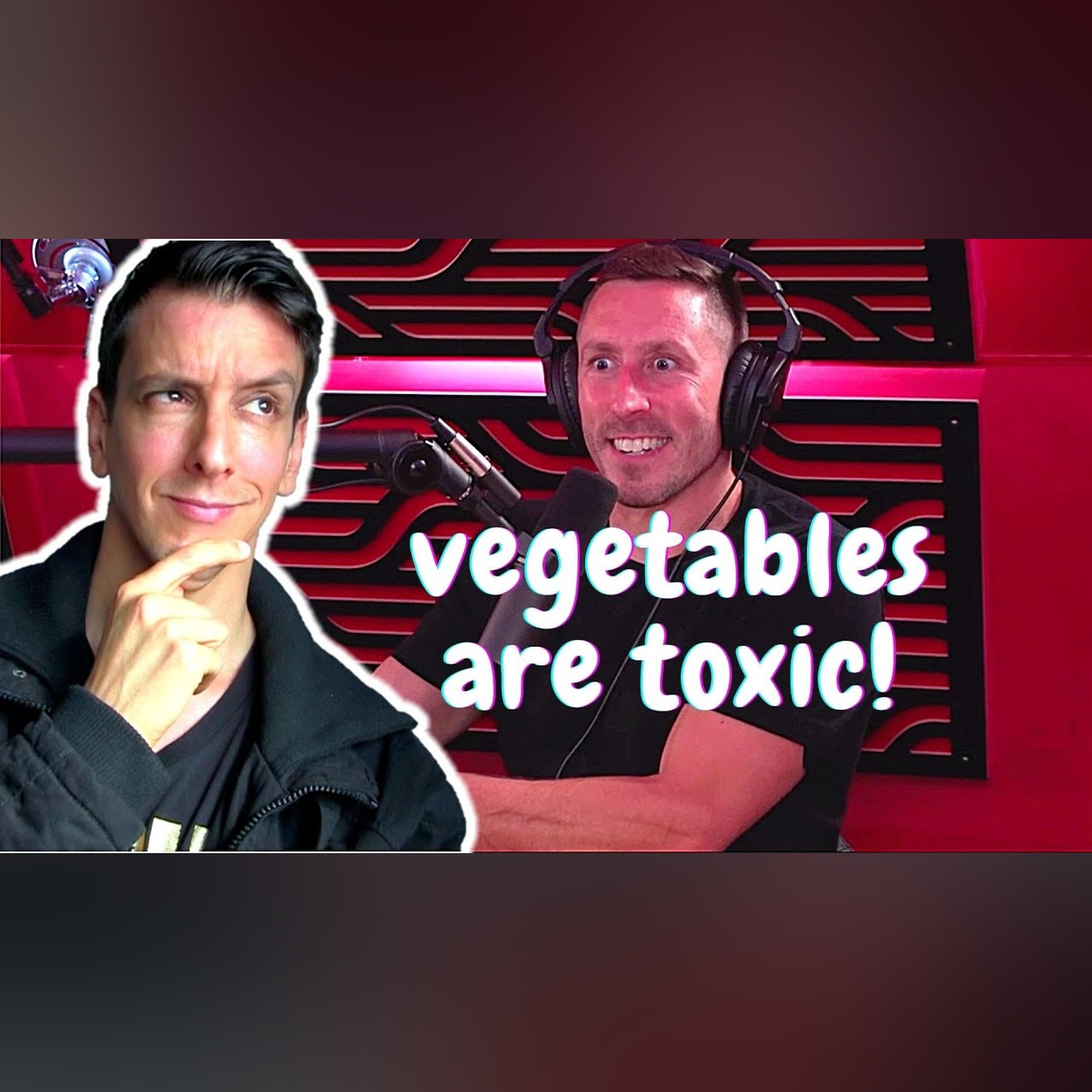Scientist reacts to Carnivore Doctor on Joe Rogan