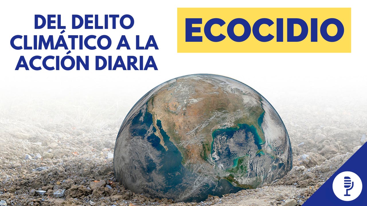 Ecocidio: del delito climático a la acción diaria Ecocidio: del delito climático a la acción diaria