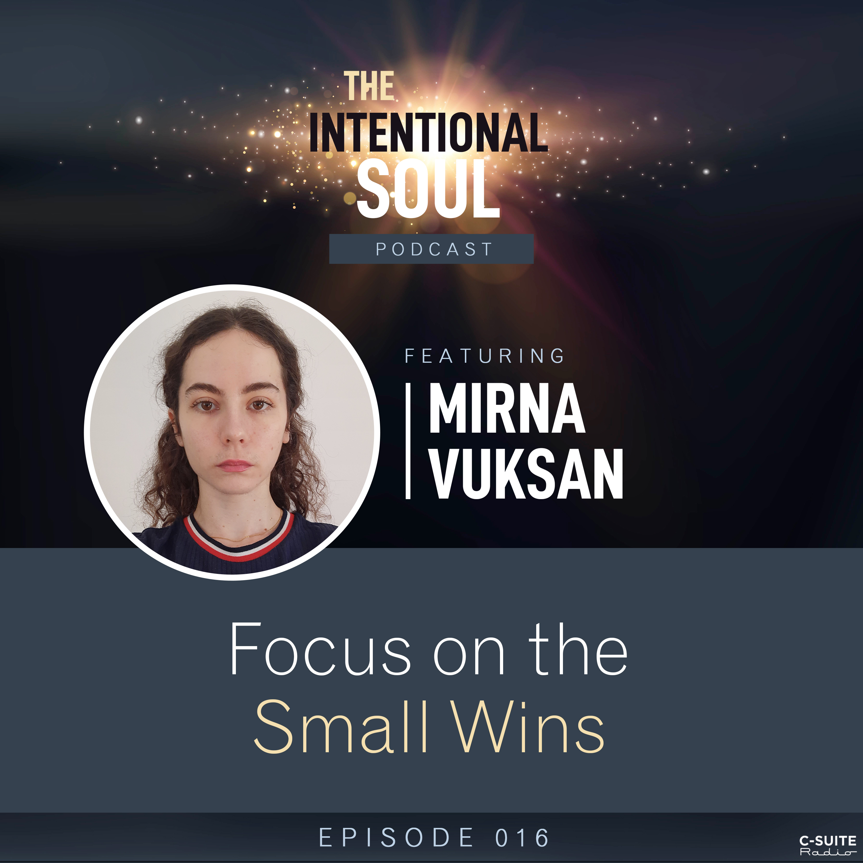 Ep 016: Focus on the Small Wins episode artwork