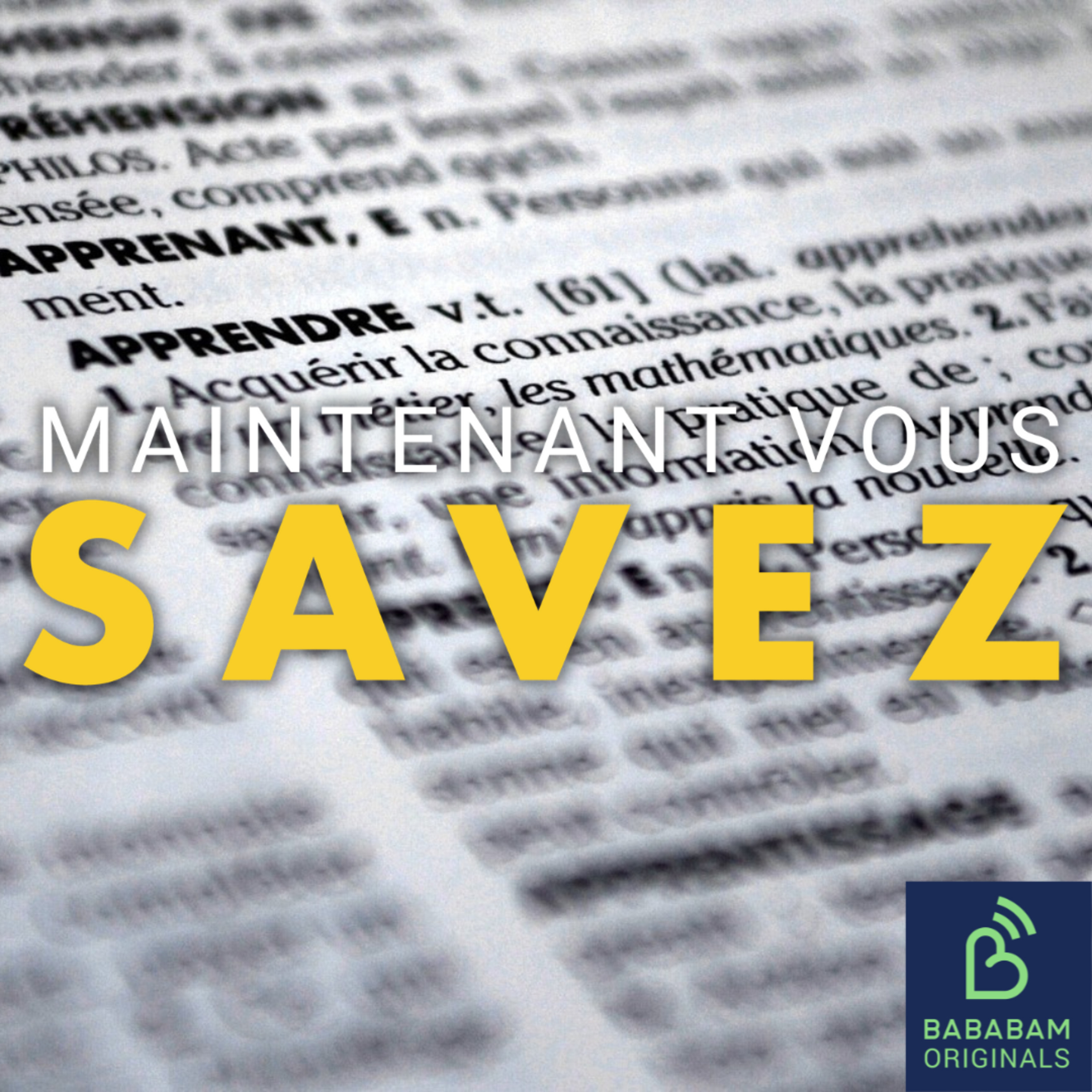 Quels sont les mots qui font leur entrée dans le dictionnaire en 2025 ? 