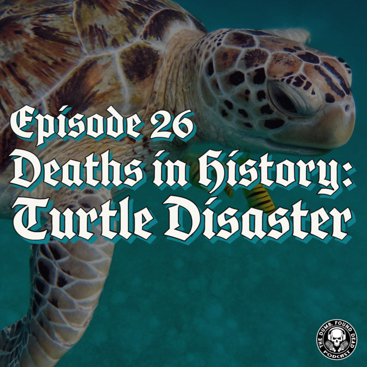 Deaths in History: Turtle Disaster episode artwork