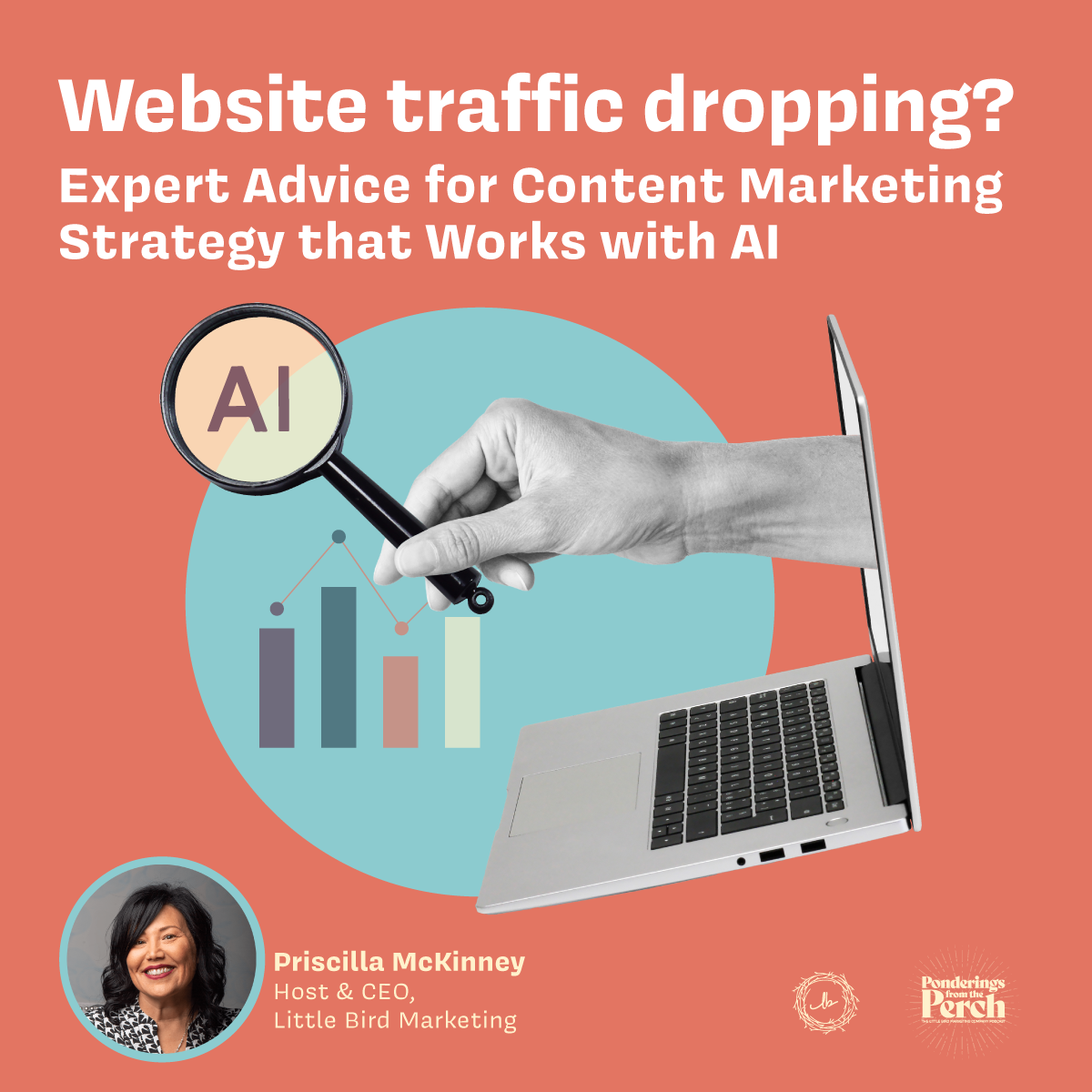 Website traffic dropping? Expert Advice for Content Marketing Strategy that Works with AI episode artwork