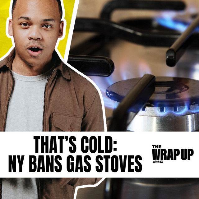Border Crisis, NY Bans Gas Stoves, No Reparations in CA (Yet) episode artwork