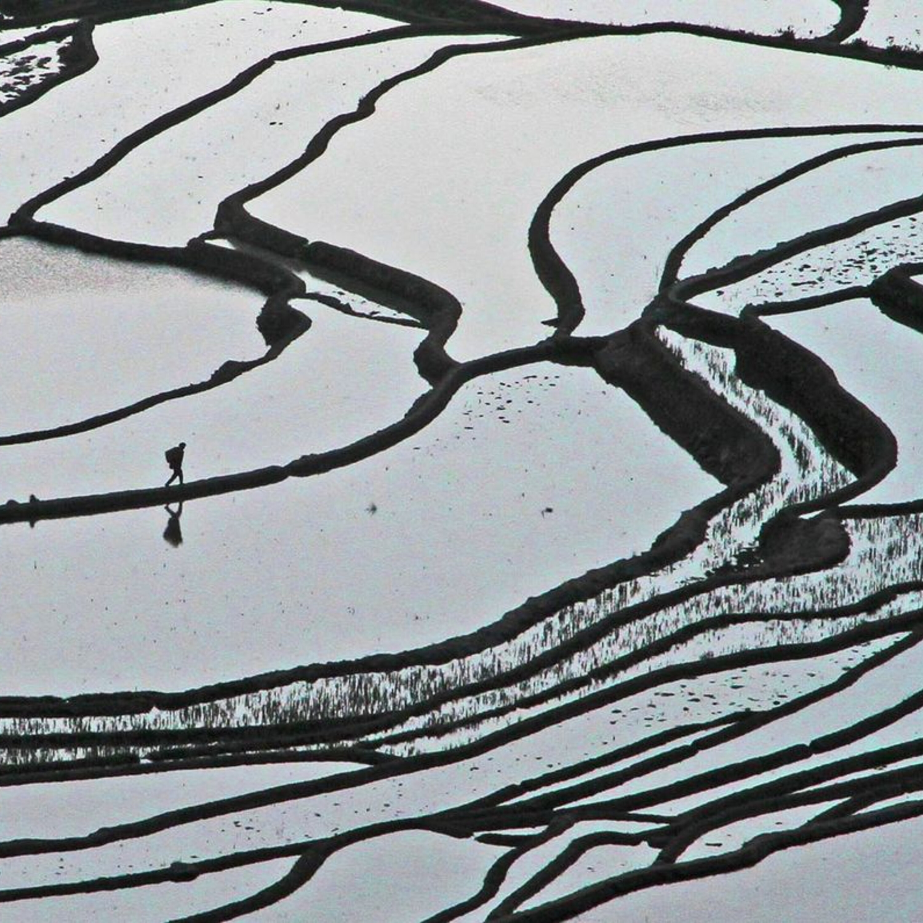 The first midsize black holes, and the environmental impact of global food production