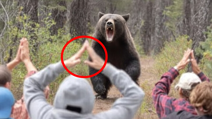 Estos trucos para acampar te salvarán la vida