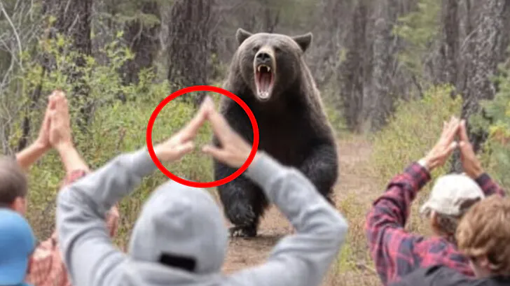 Estos trucos para acampar te salvarán la vida Estos trucos para acampar te salvarán la vida