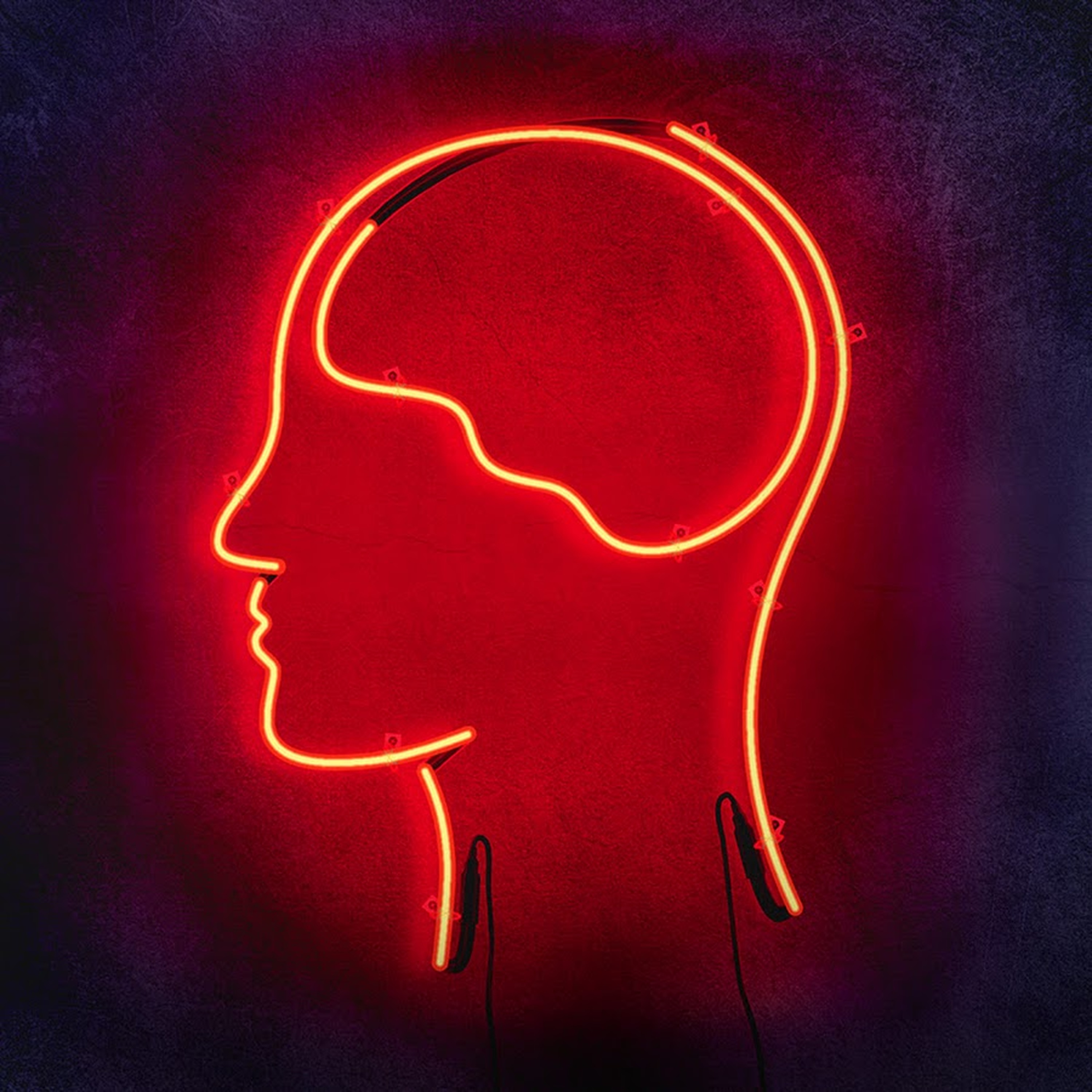 SmarterEveryDay podcast artwork
