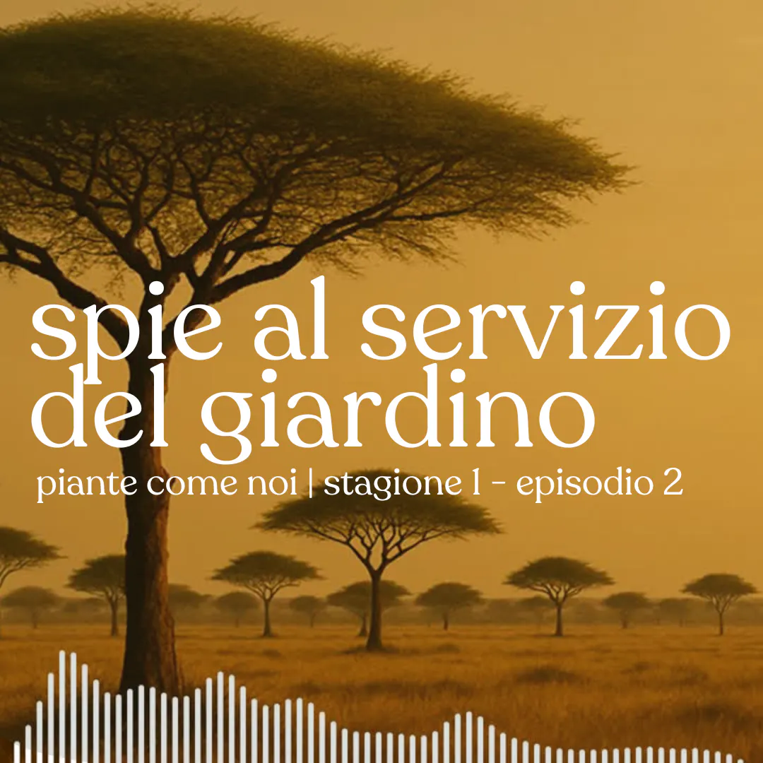 Spie al servizio del giardino - Stagione 1 | Episodio 2 episode artwork