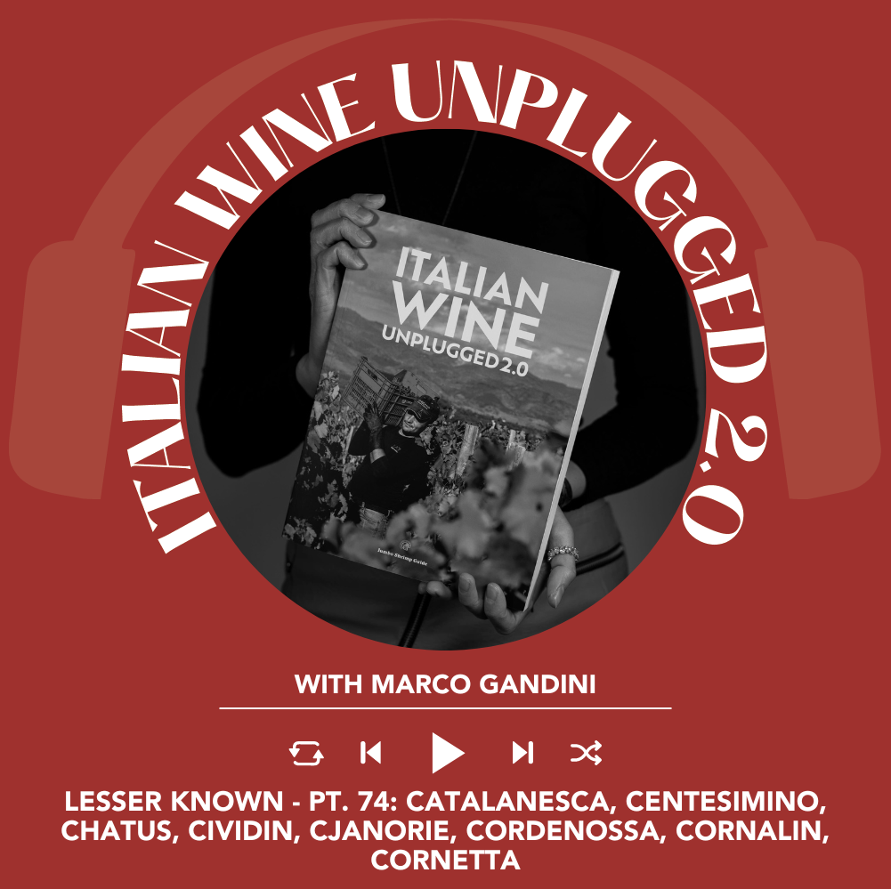 Marco Gandini Narrates Pt. 74 | Italian Wine Unplugged 2.0